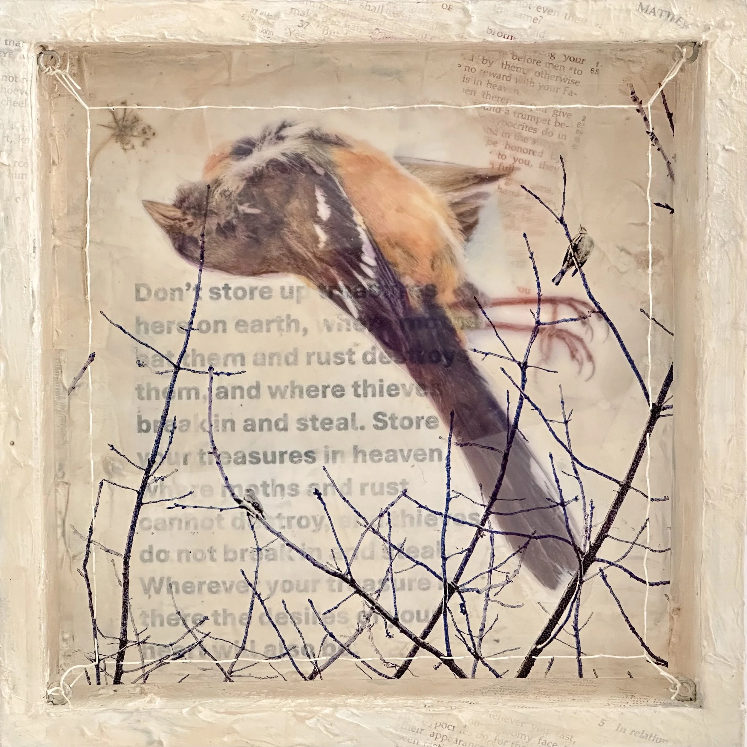 Dissonance (8) Treasures 8x8x2.jpg