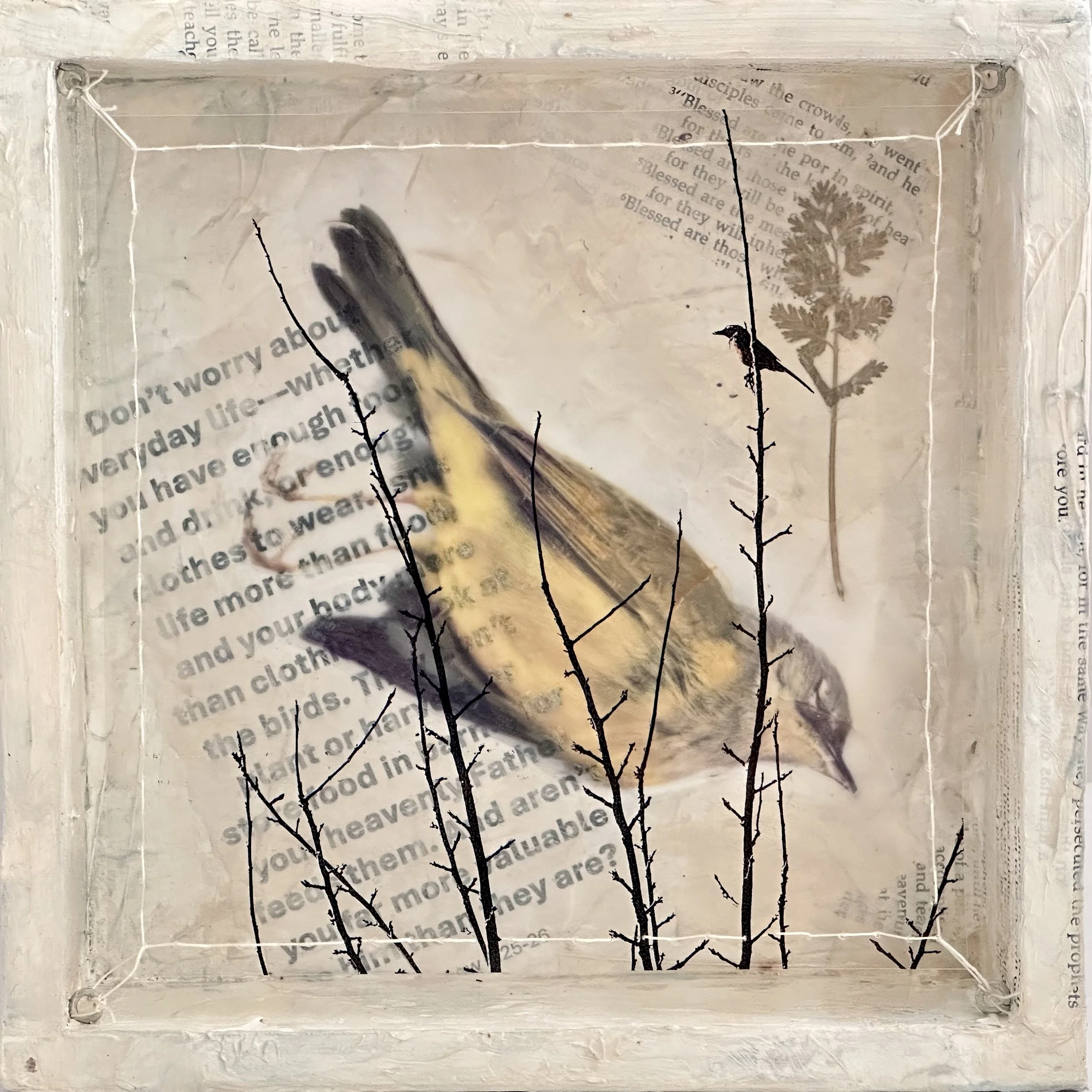 Dissonance (5) No Worries 8x8x2.jpg