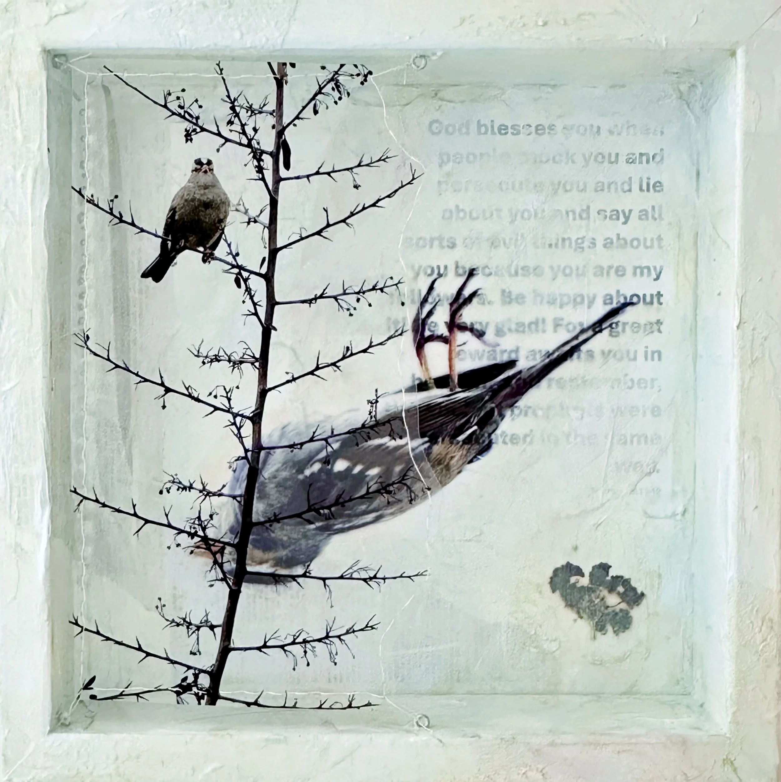 Dissonance (12) Mockery 12x12x2.5 front.jpg