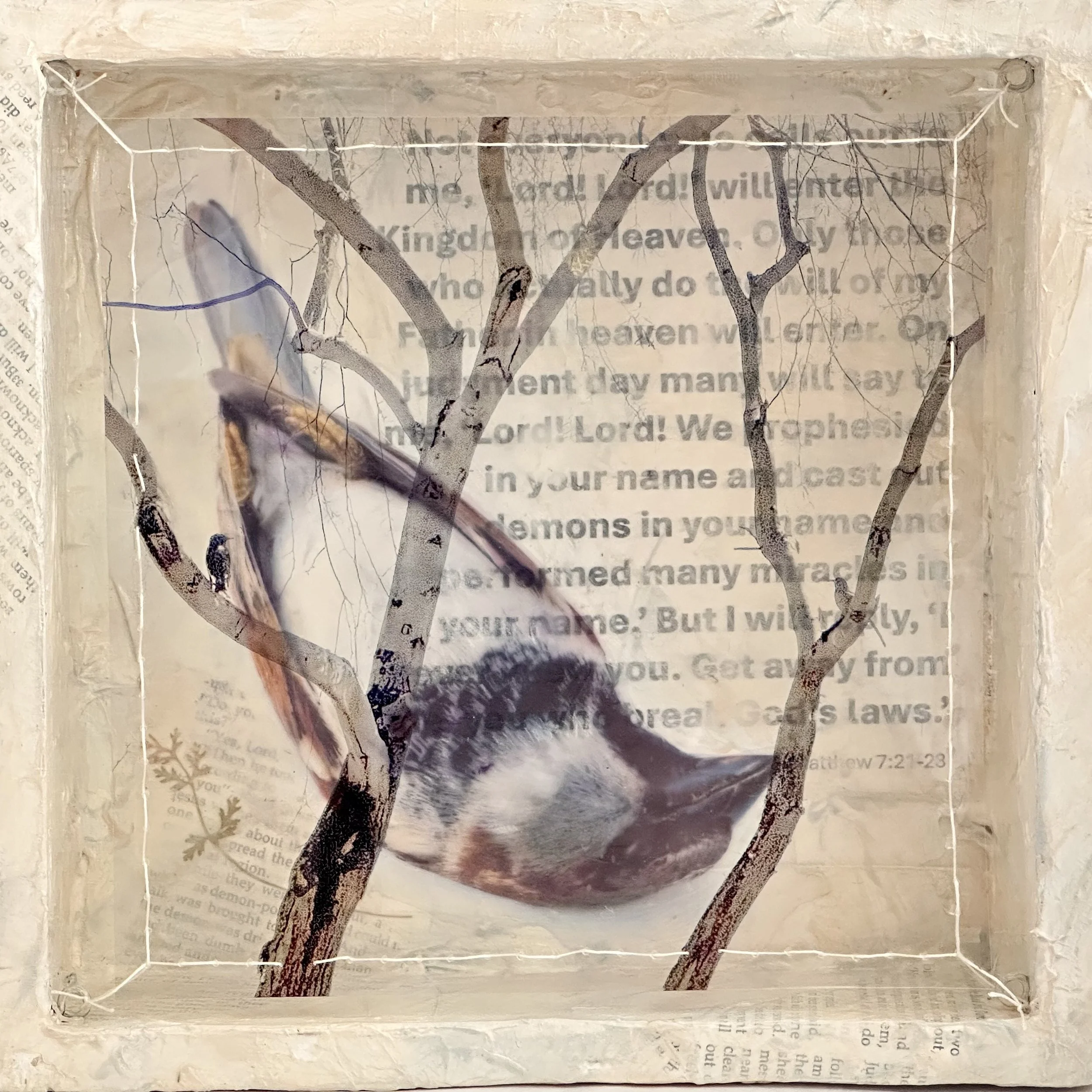 Dissonance (4) Lord Lord 8x8x2.jpg