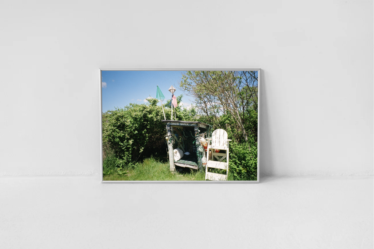 Untitled-1 (7).png