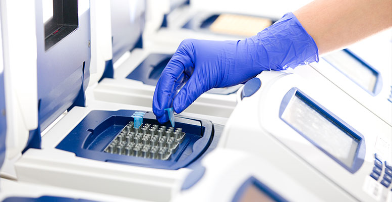 Legacy Preservation Life-of-Your-Pet Plan $199 + Monthly Maint. Fee