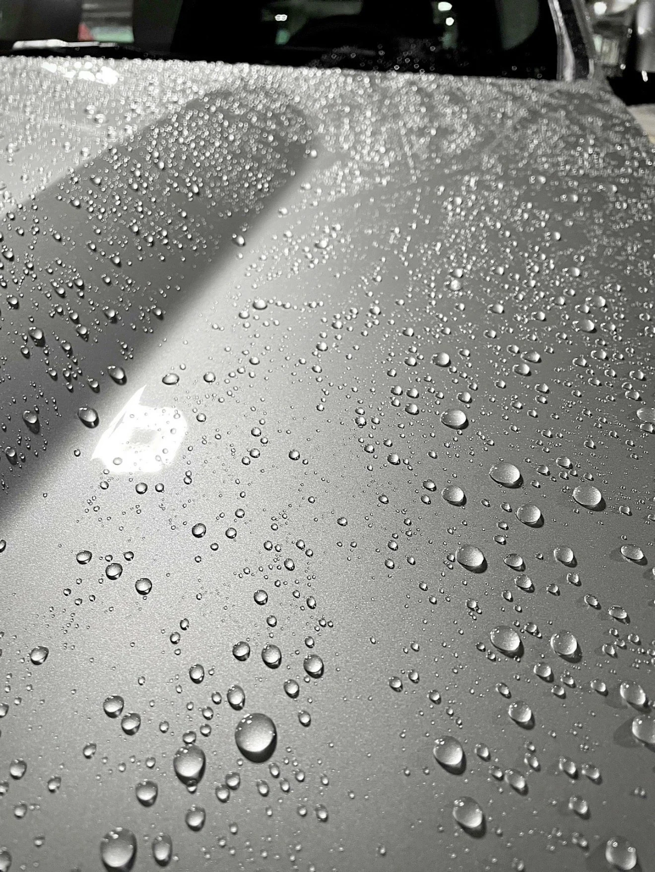 Exterior wax protection