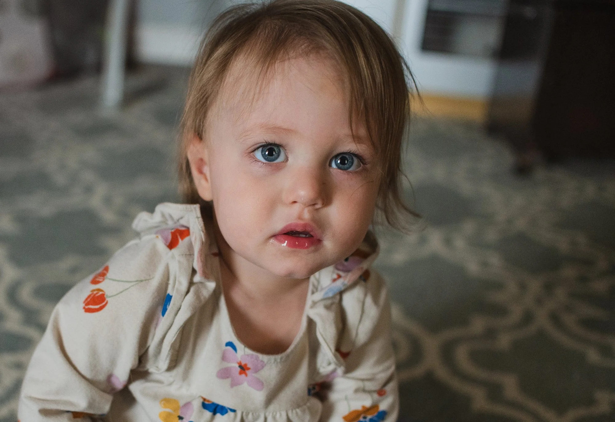 erin-e-gallagher-photography-maternity-richmond-pictures-natural-light-toddler.jpg