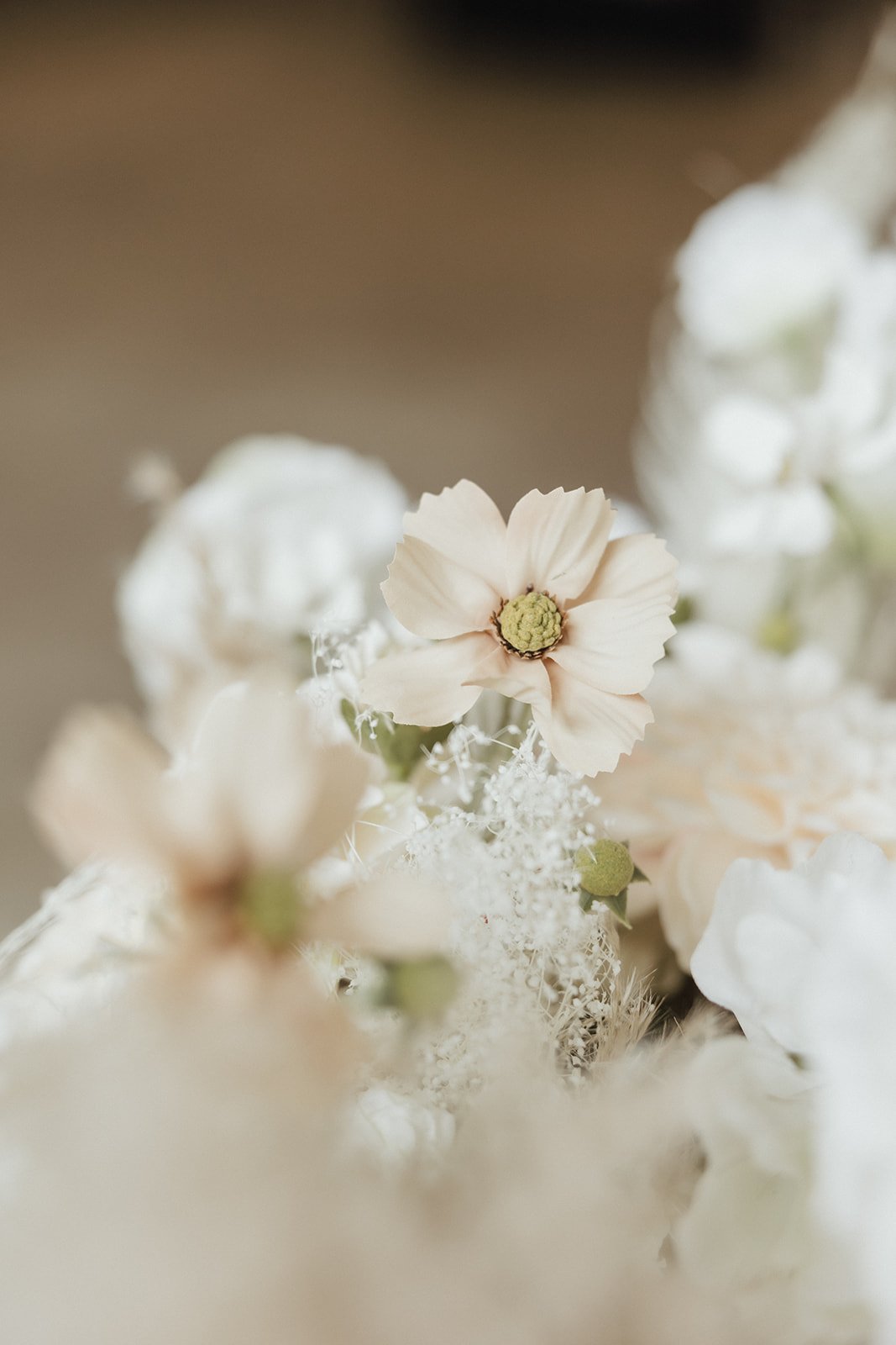 Flower_Corner_Content01620_websize.jpg