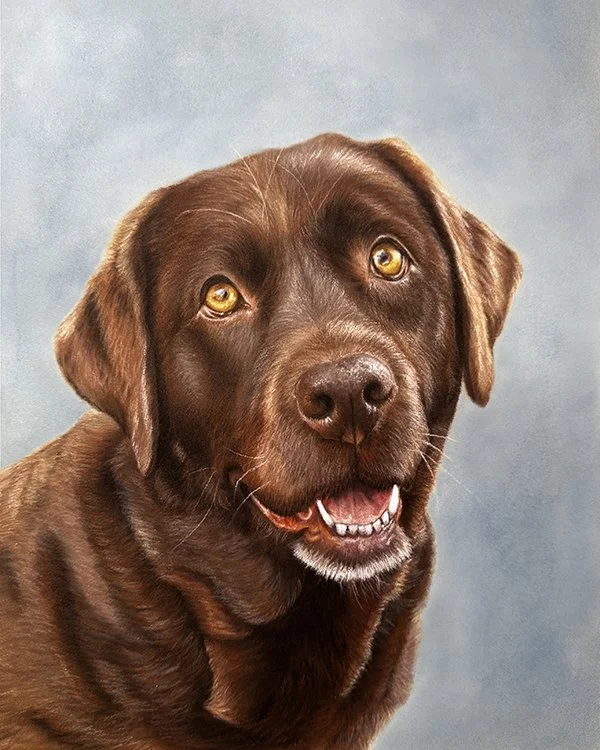 Chocolate Lab_24_4x5.jpg