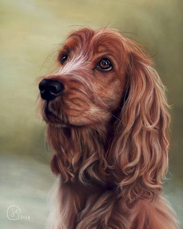 Spaniel_sm_homescan.jpg
