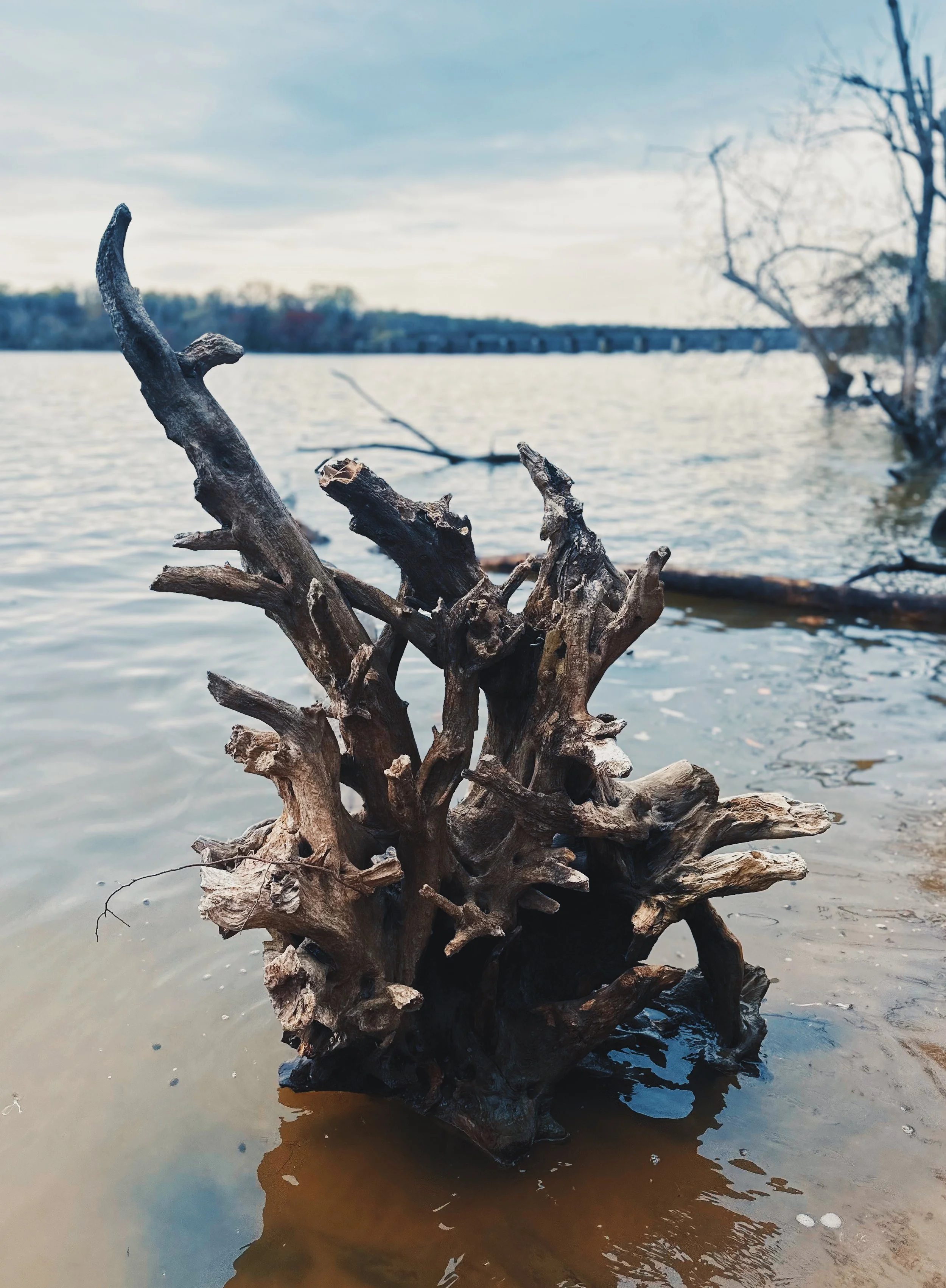 FullSizeRender_VSCO (1).jpg