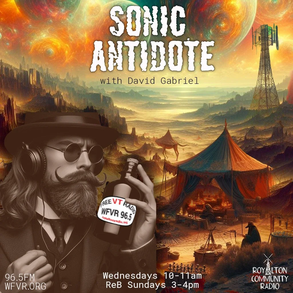 sonic antedote poster