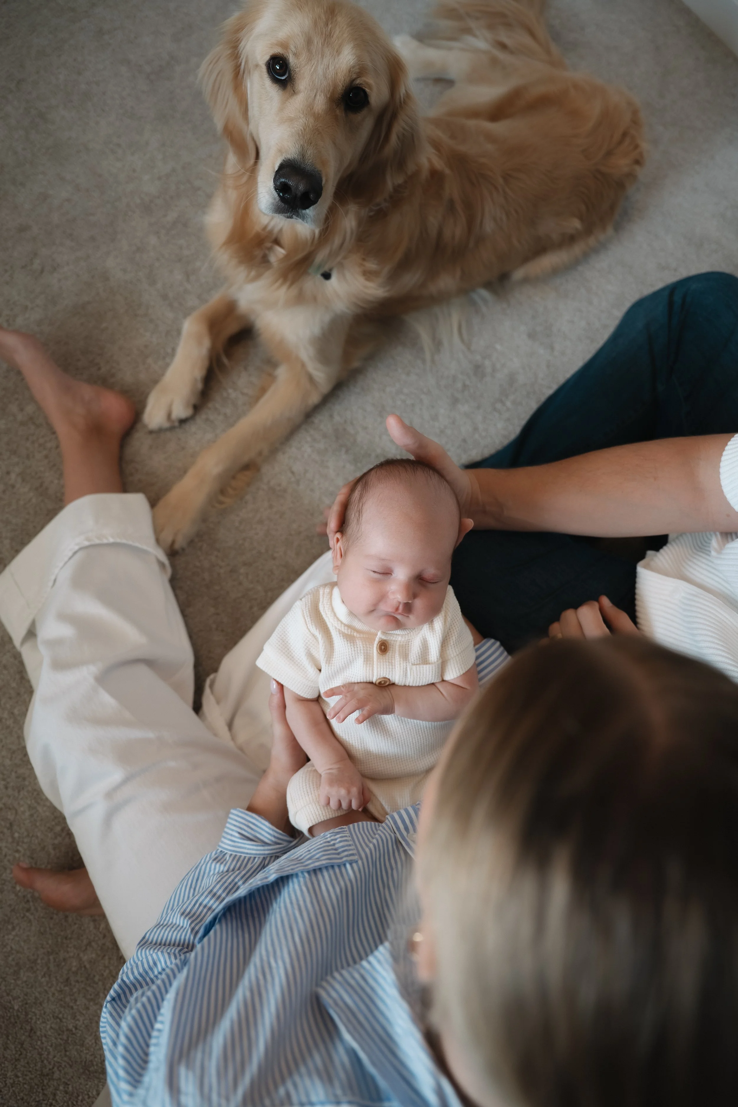 Baby Teddy's In-Home Newborn Session