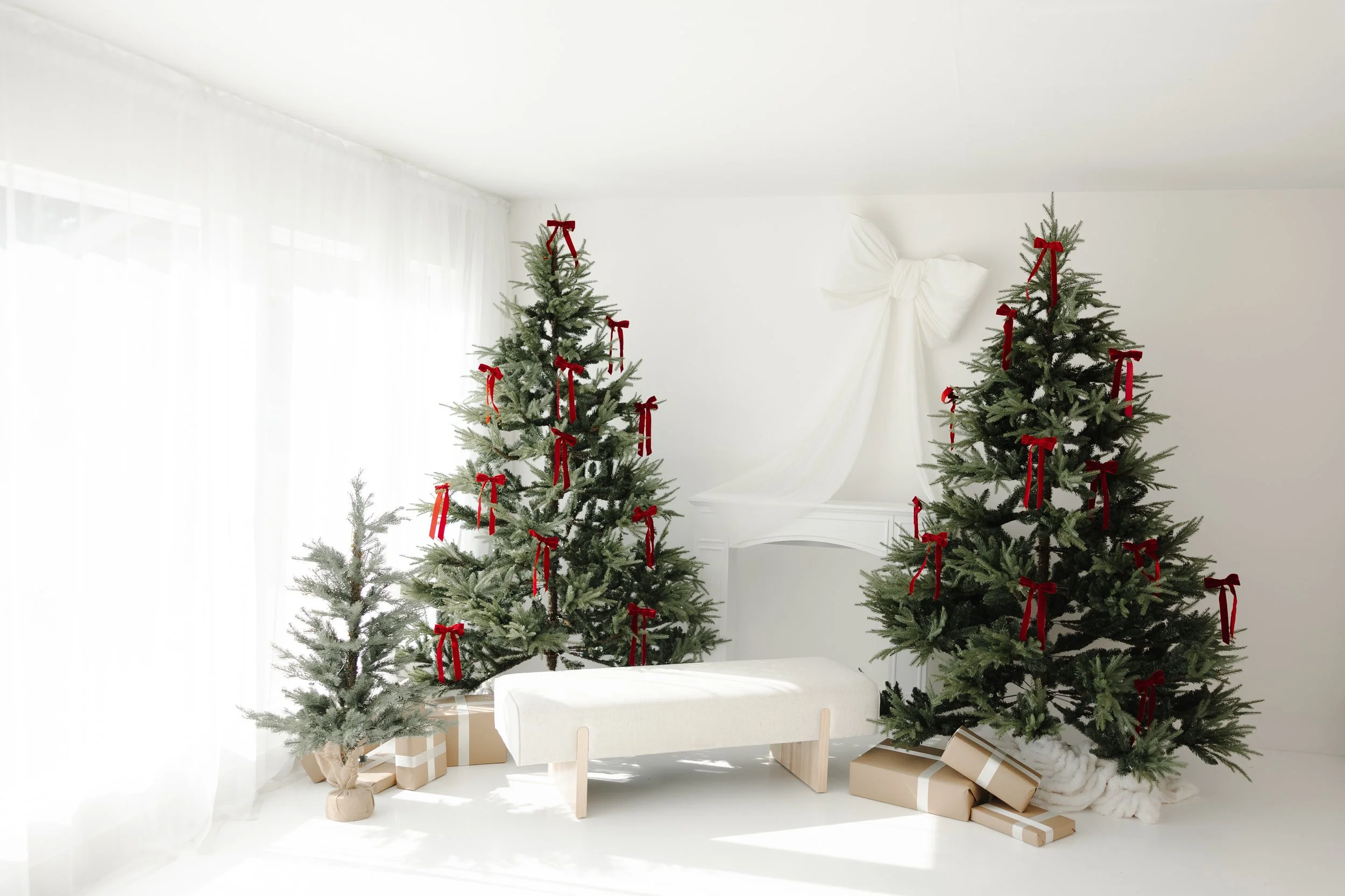 Christmas2026-10.jpg