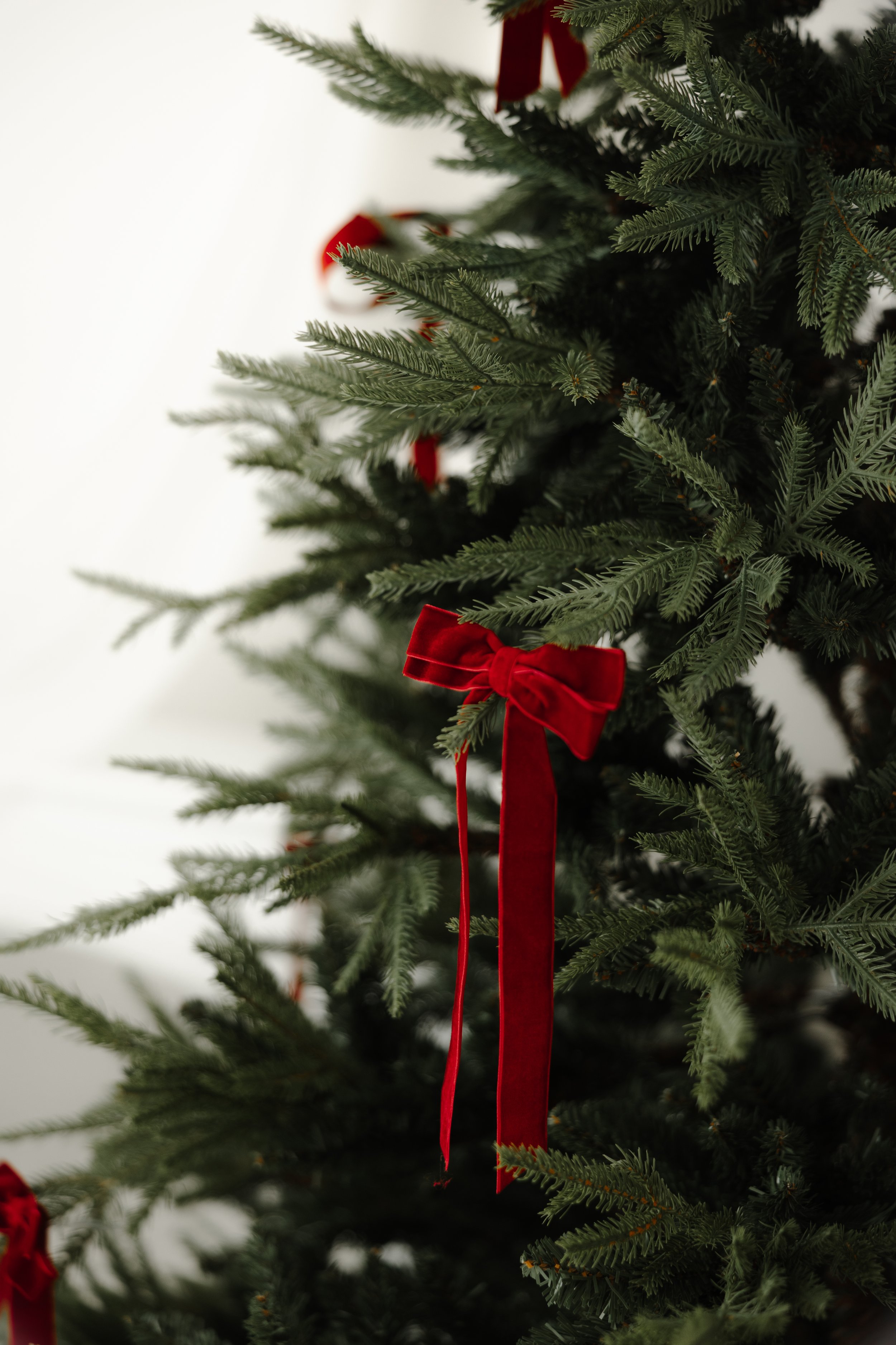 Christmas2026-28.jpg
