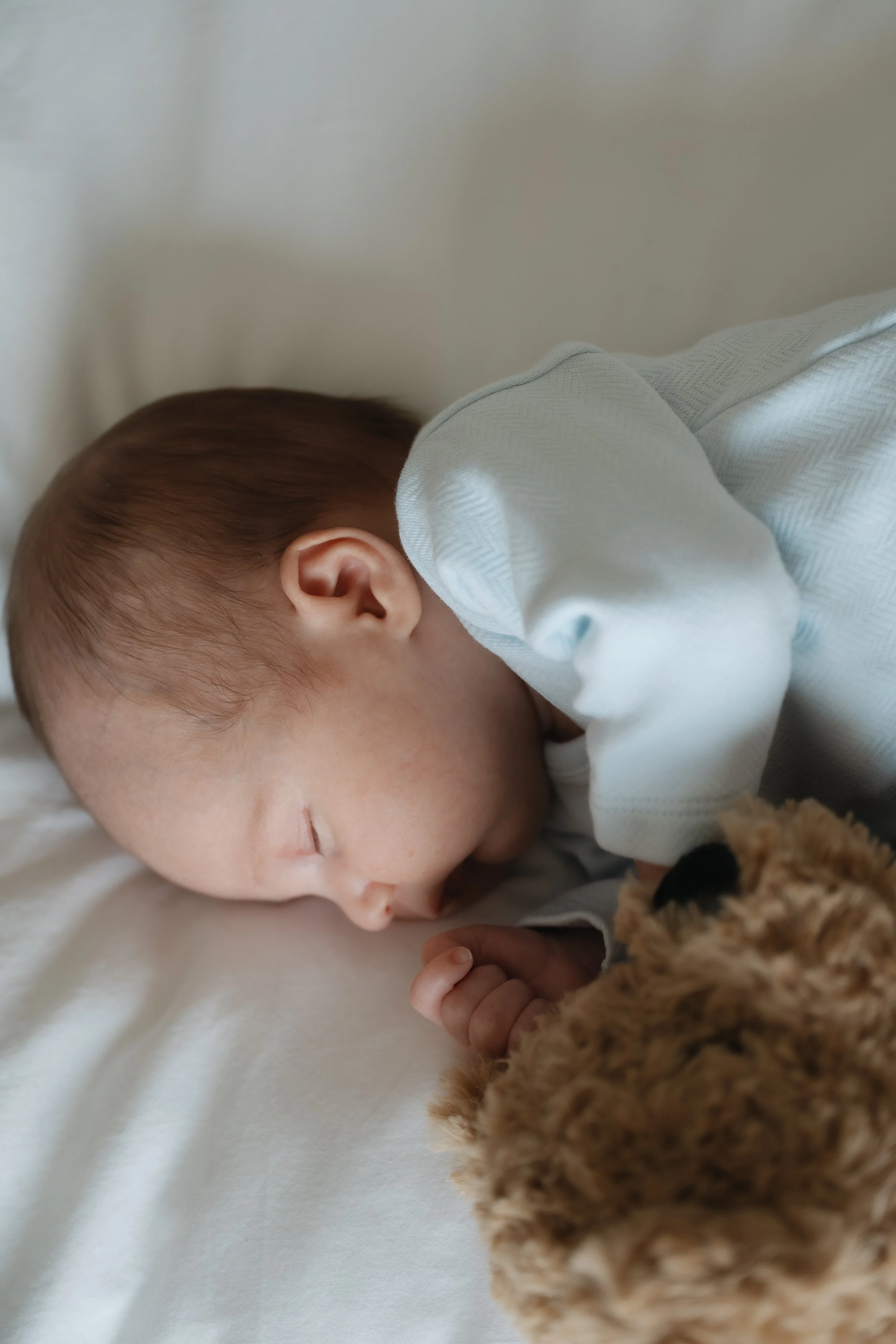Baby Teddy's In-Home Newborn Session