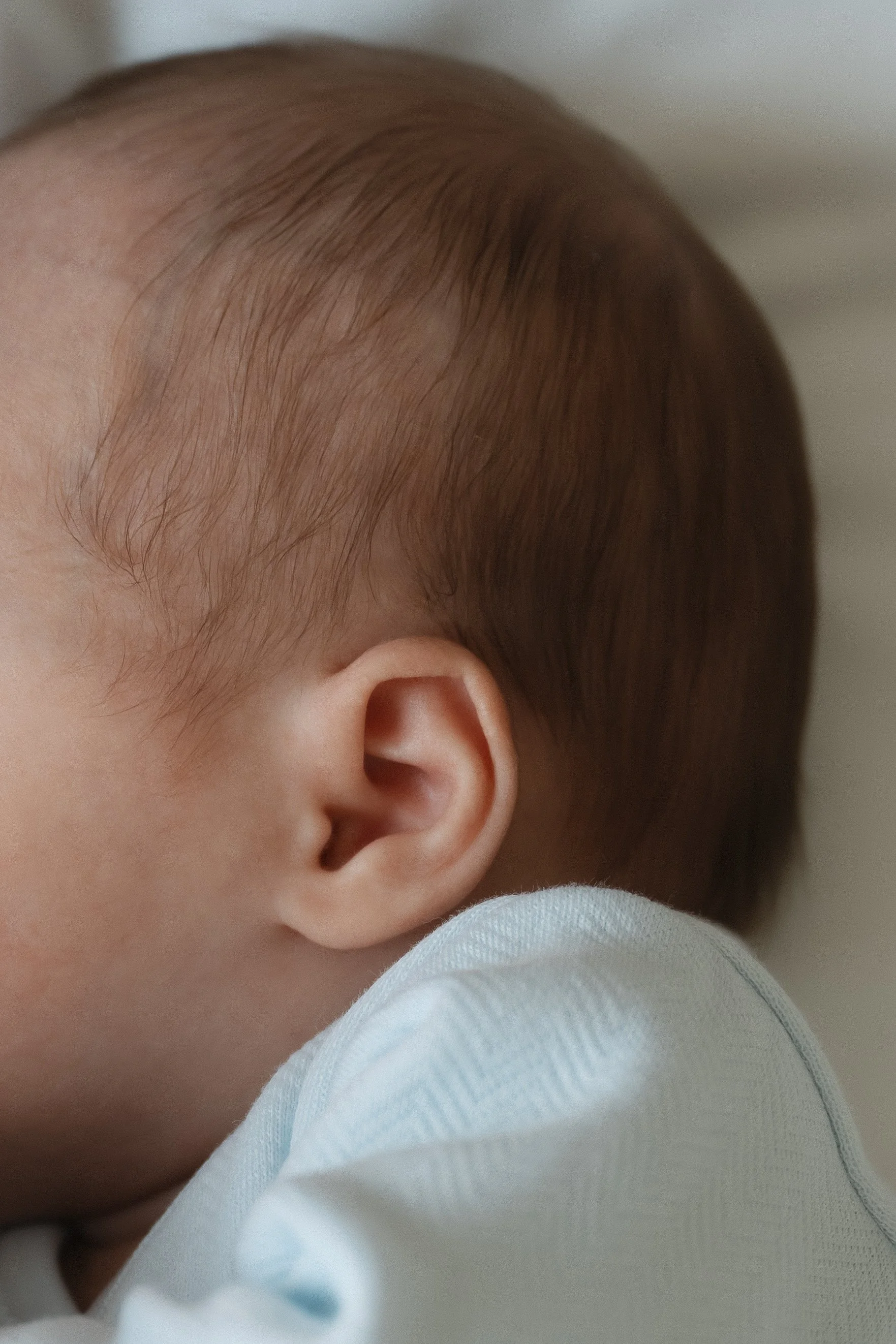 Baby Teddy's In-Home Newborn Session
