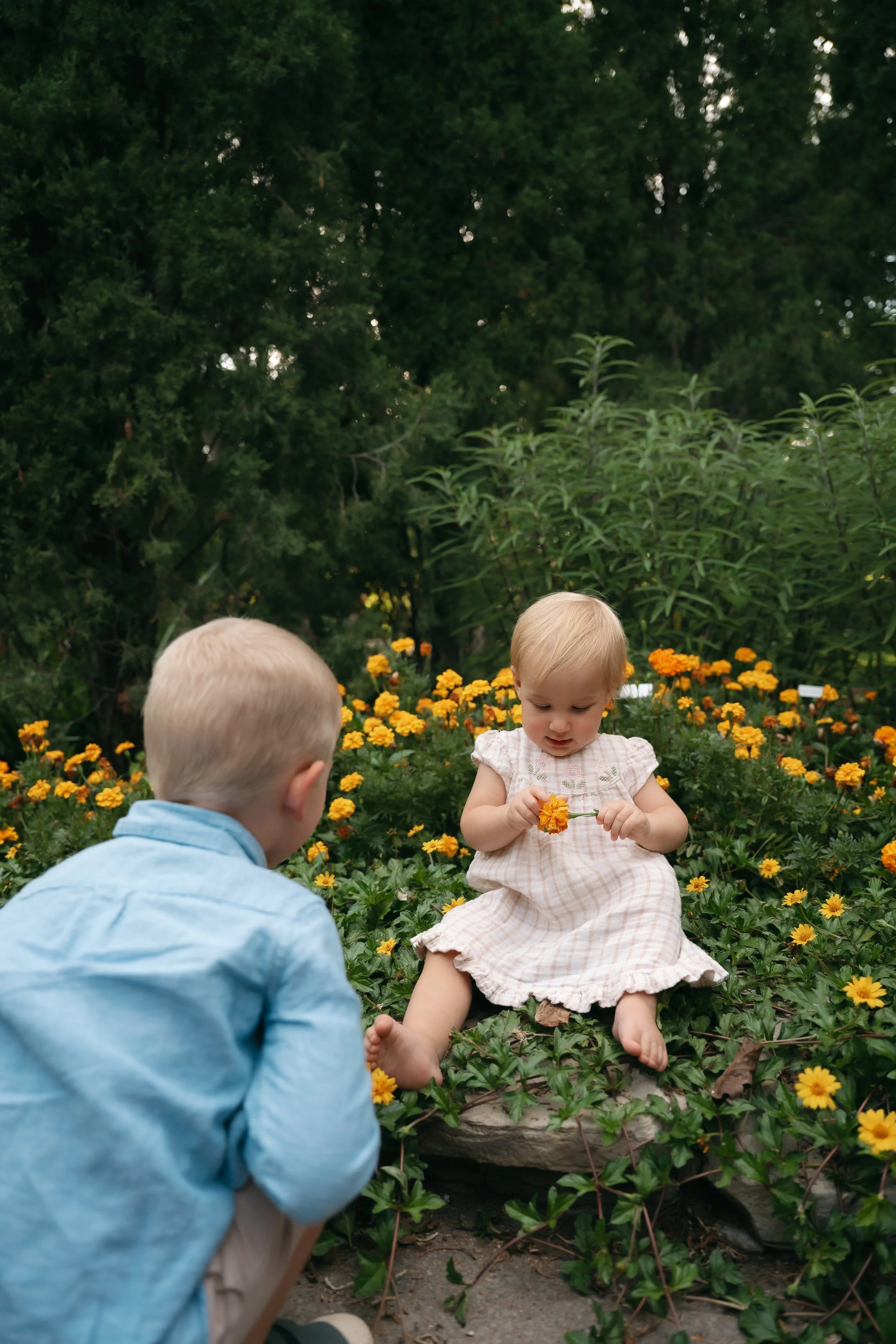 Seaton Family session at Botanica in Wichita, KS