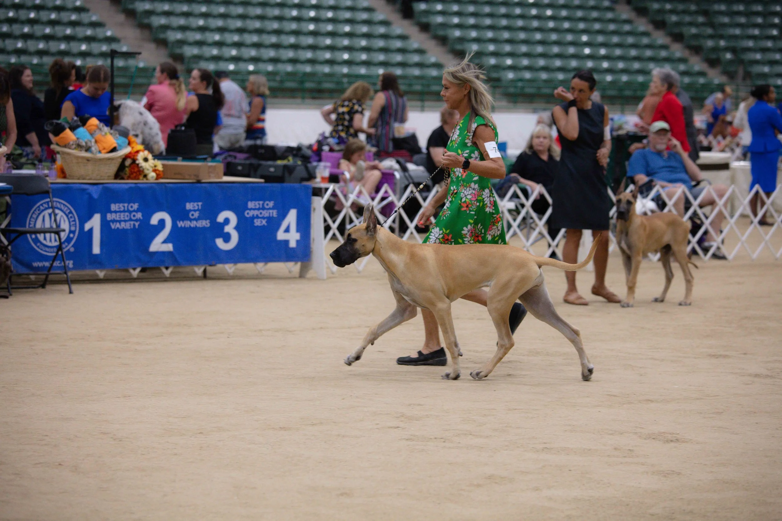 RKC2025-249.jpg