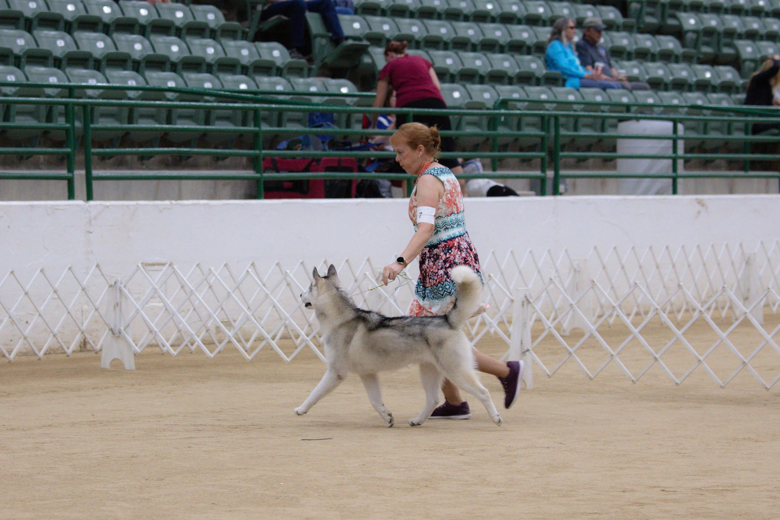 RKC2025-331.jpg
