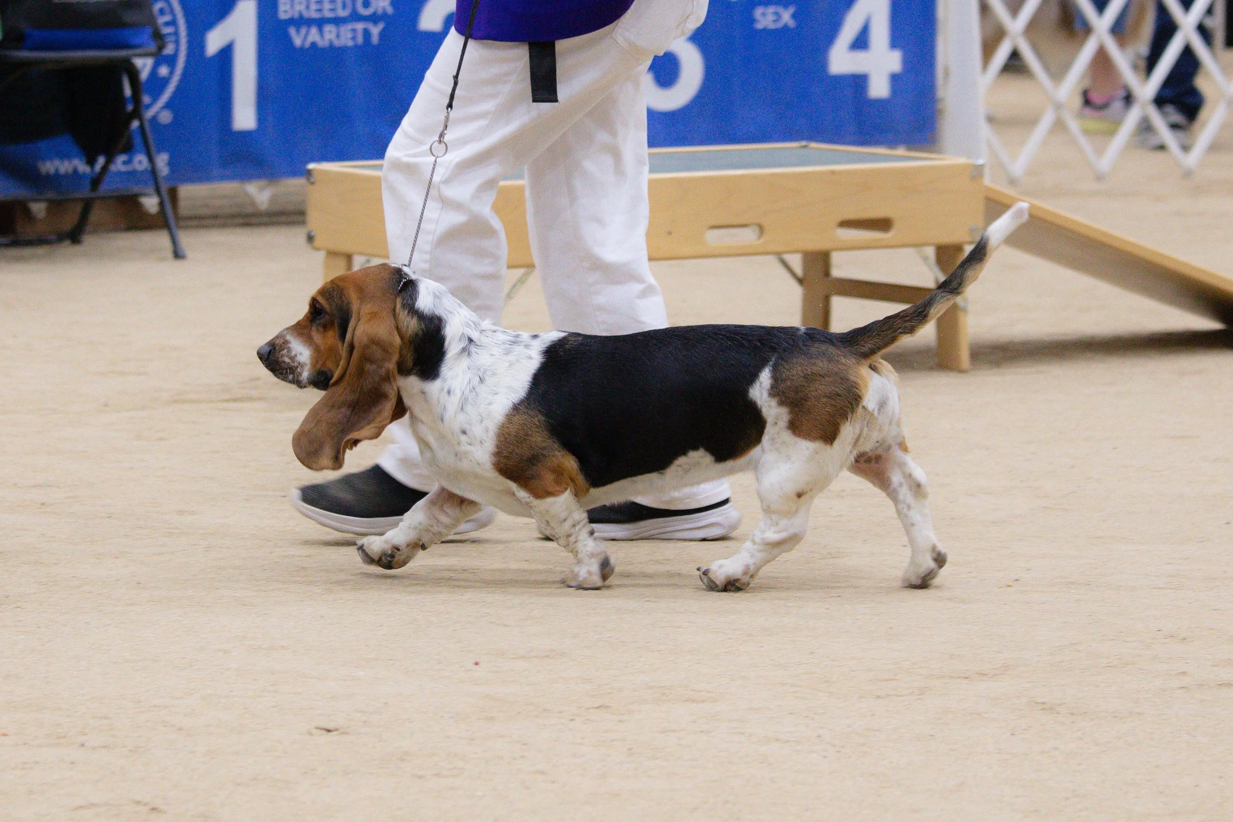 RKC2025-347.jpg