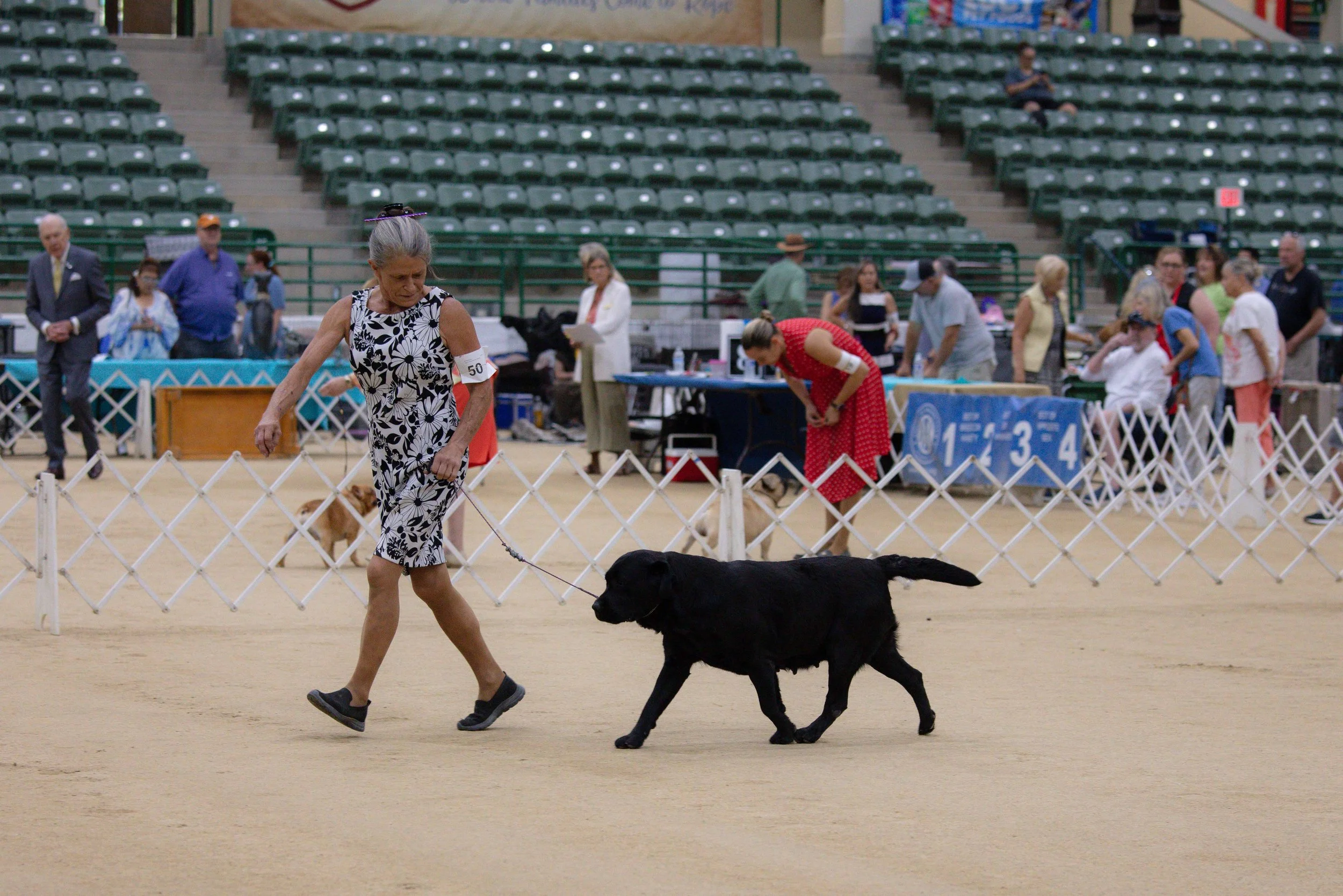 RKC2025-318.jpg