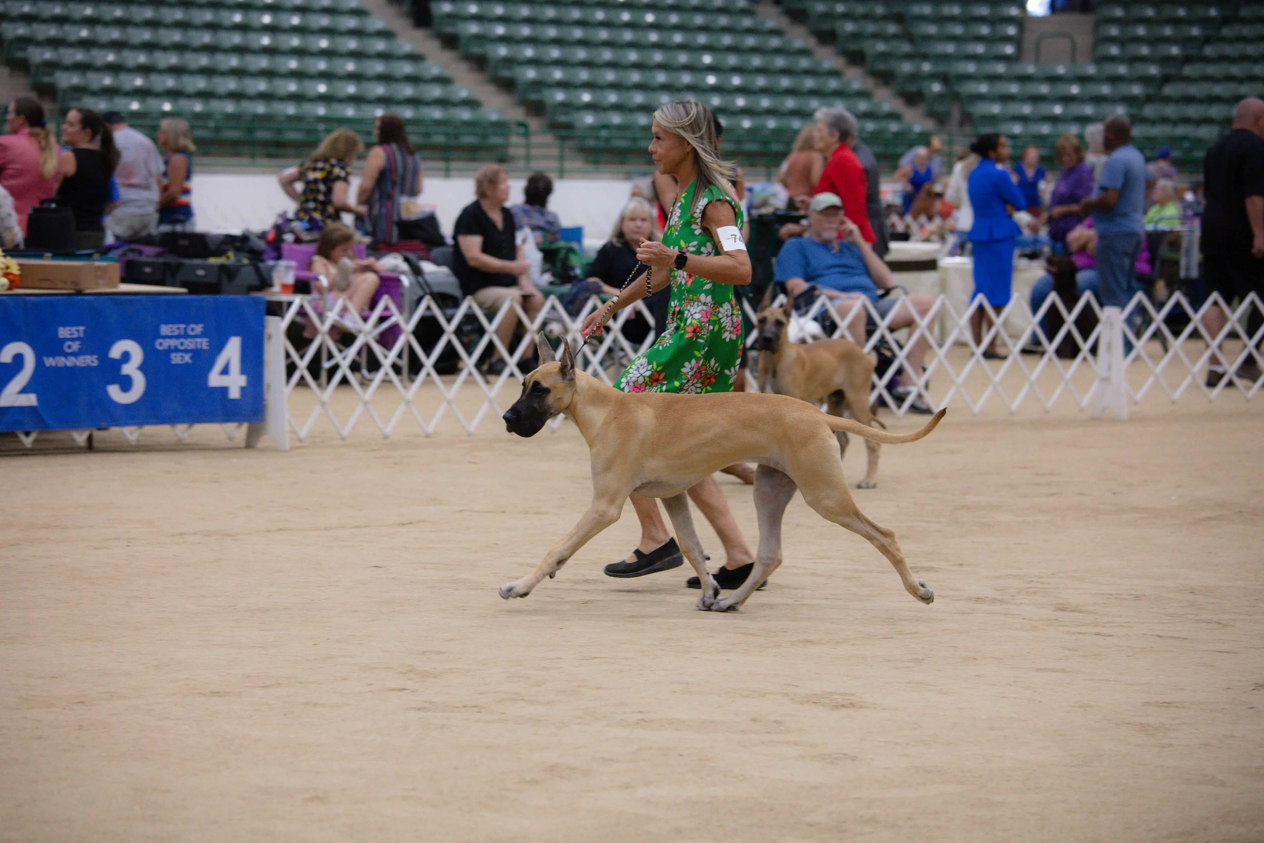 RKC2025-248.jpg