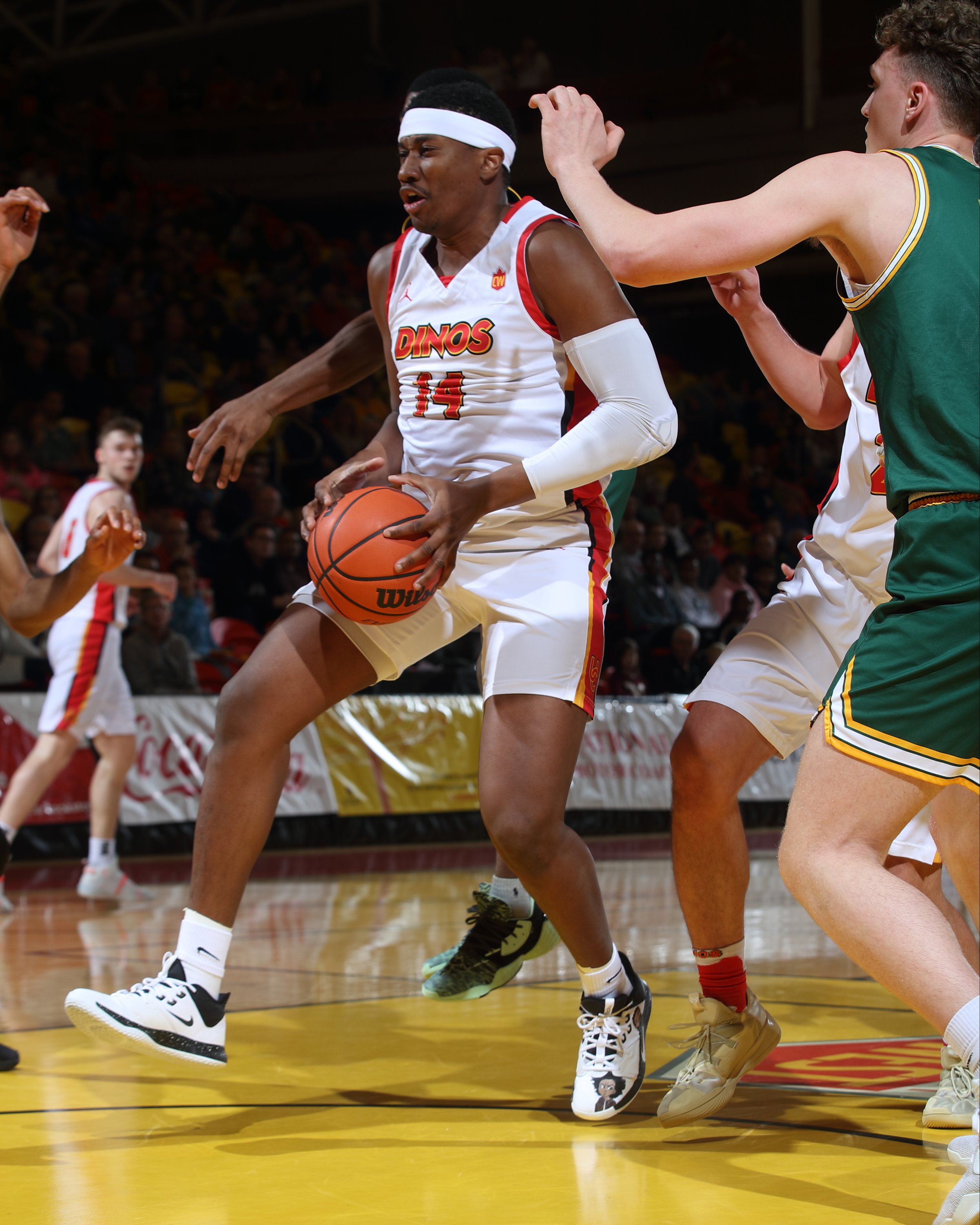 020120_vs _UofA_0007_DM.jpg