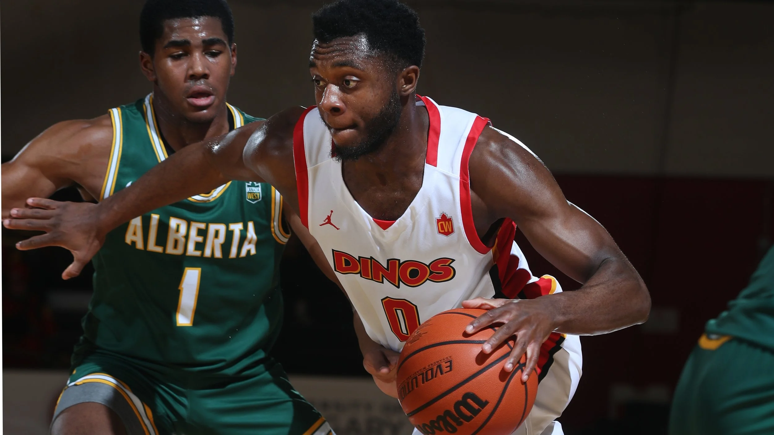 020120_vs_Uof A_ 0019DM.jpg