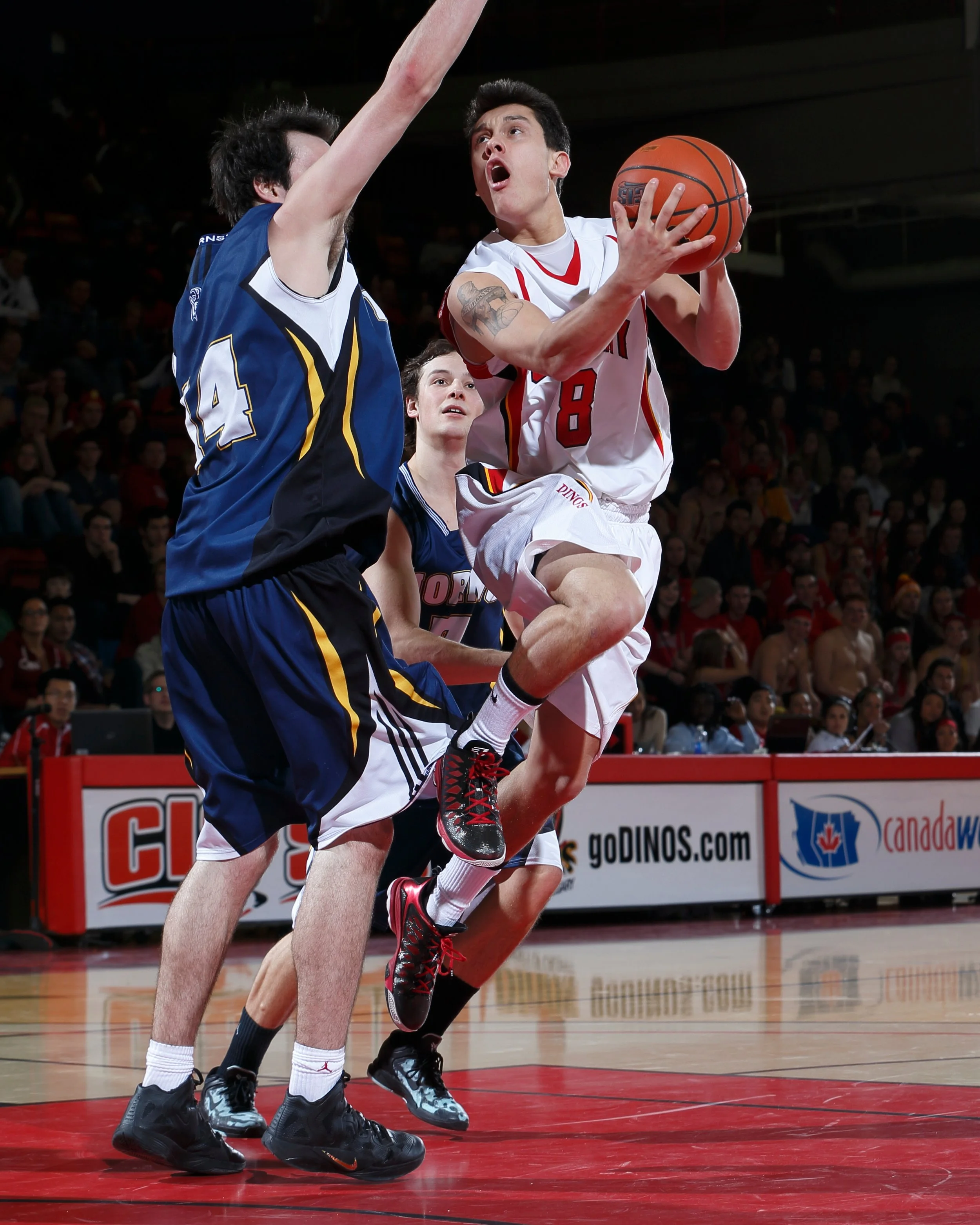02-14-13_vs_UofL_126-2384164828-O.jpg