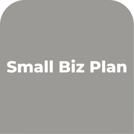 Flowjo Pricing - Small Biz Plan.png