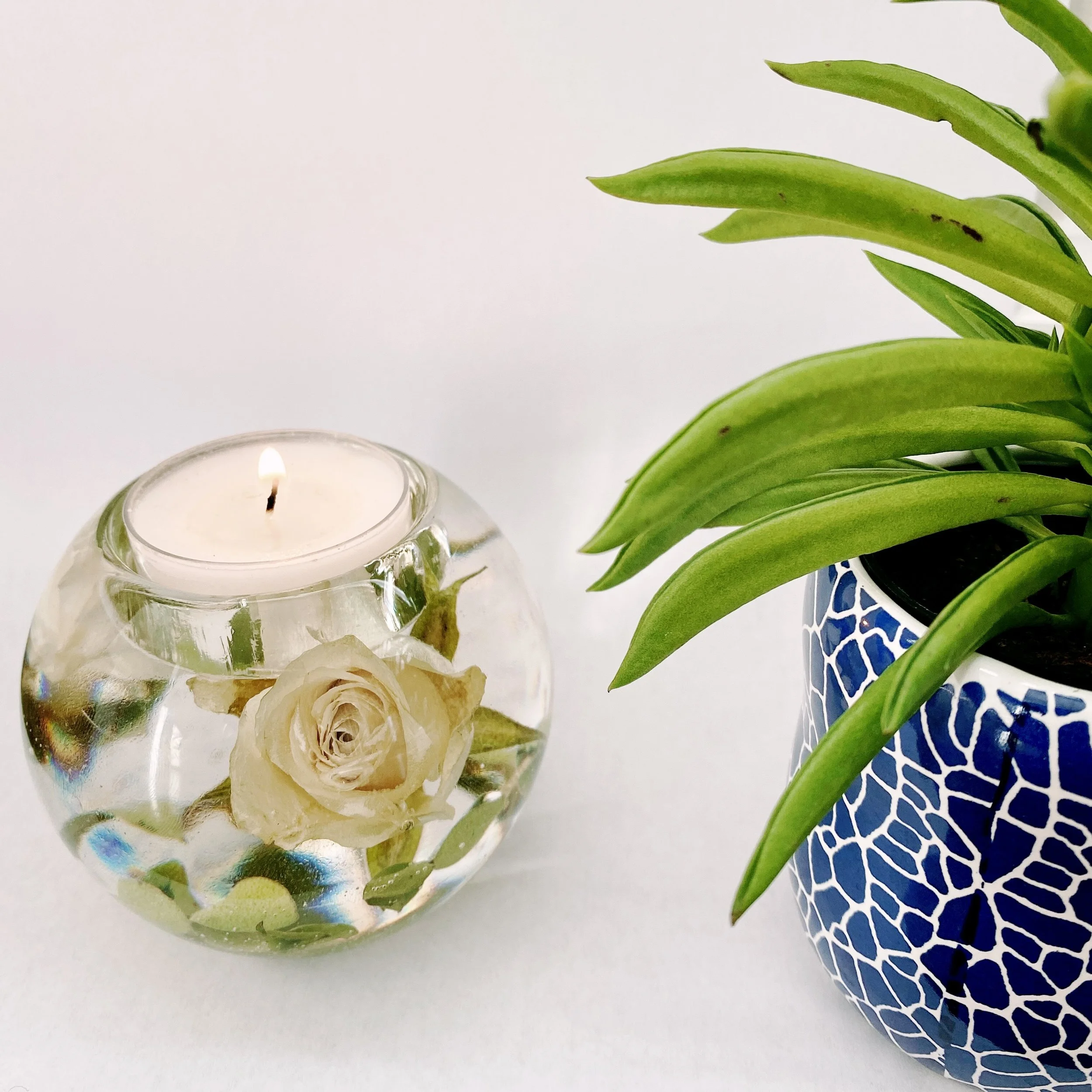 White candle in a glass holder with a submerged rose next to a green plant in a blue mosaic-patterned pot.