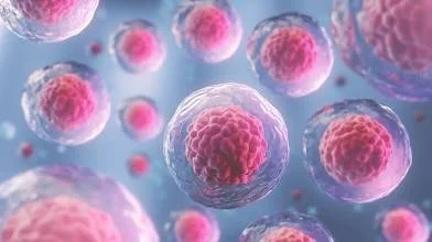Corticosteroid Injections vs. Regenerative Medicine: Unmasking the Short-Term Fix and Embracing Long-Term Healing for Musculoskeletal Conditions