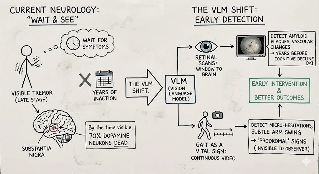 Neurology infographic
