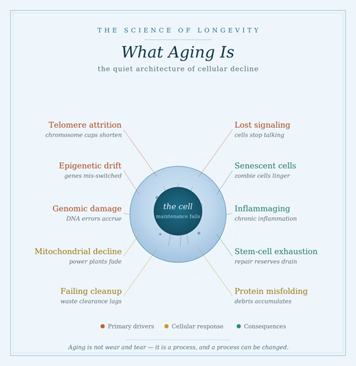 The Science of Longevity: What You Should Know Today—and Where We Are Going
