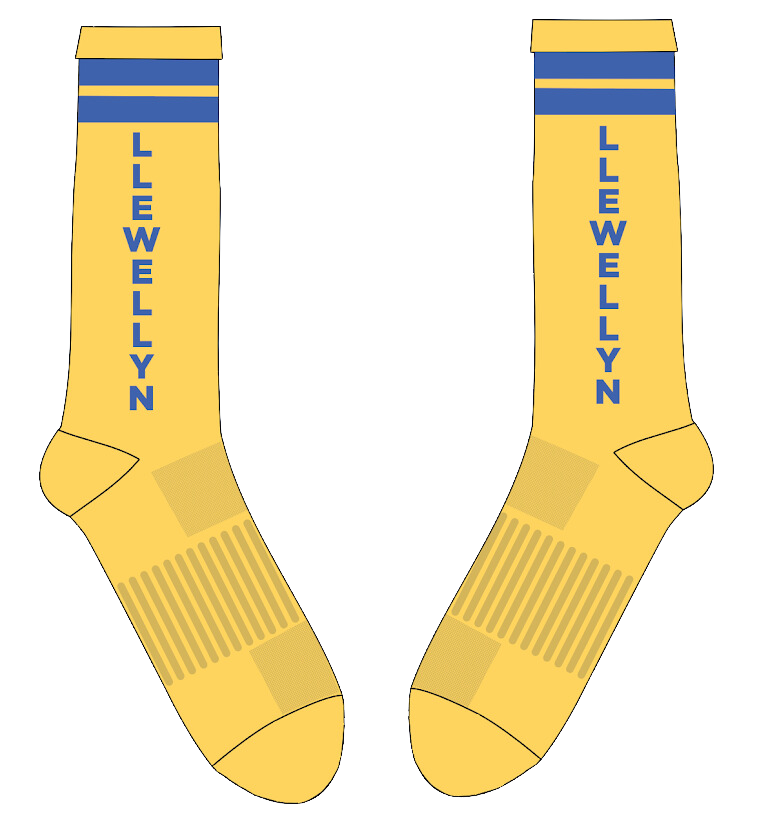 Llewellyn Socks