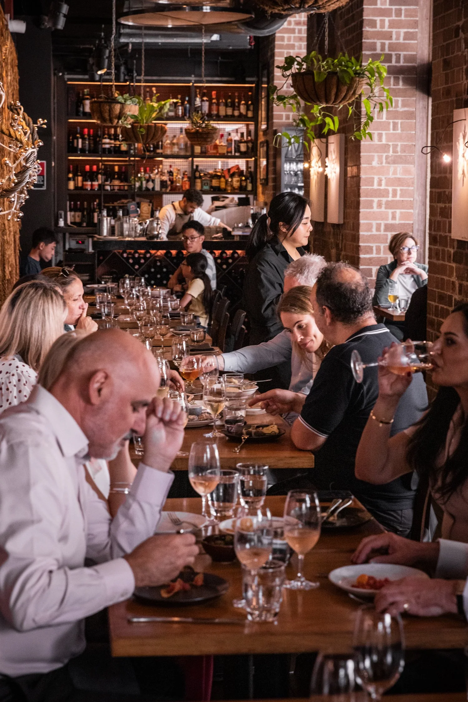 Trent van der Jagt-2954.jpg