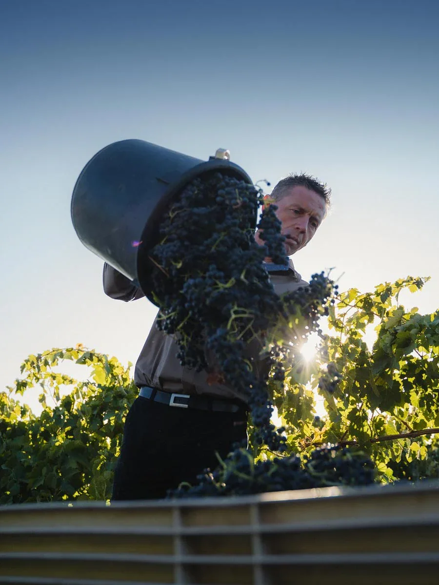 Kym-vineyard-mobile.webp