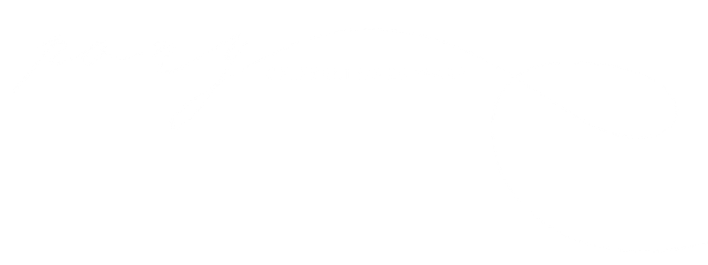 Pony Dining The Rocks