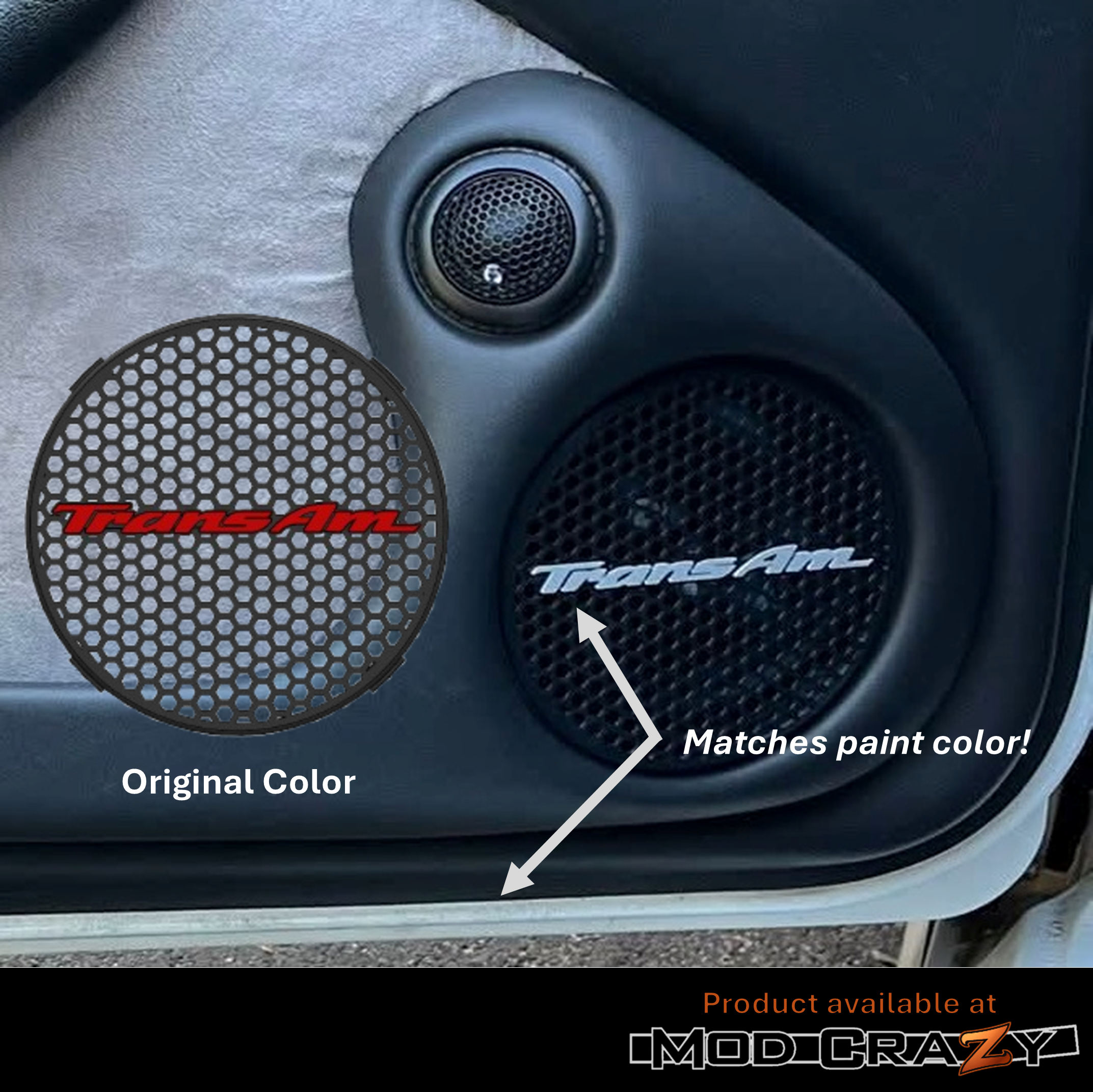 Door Speaker Grille -Trans Am Firebird PERS LIGHT GRAY 1TO1 AR 2.png