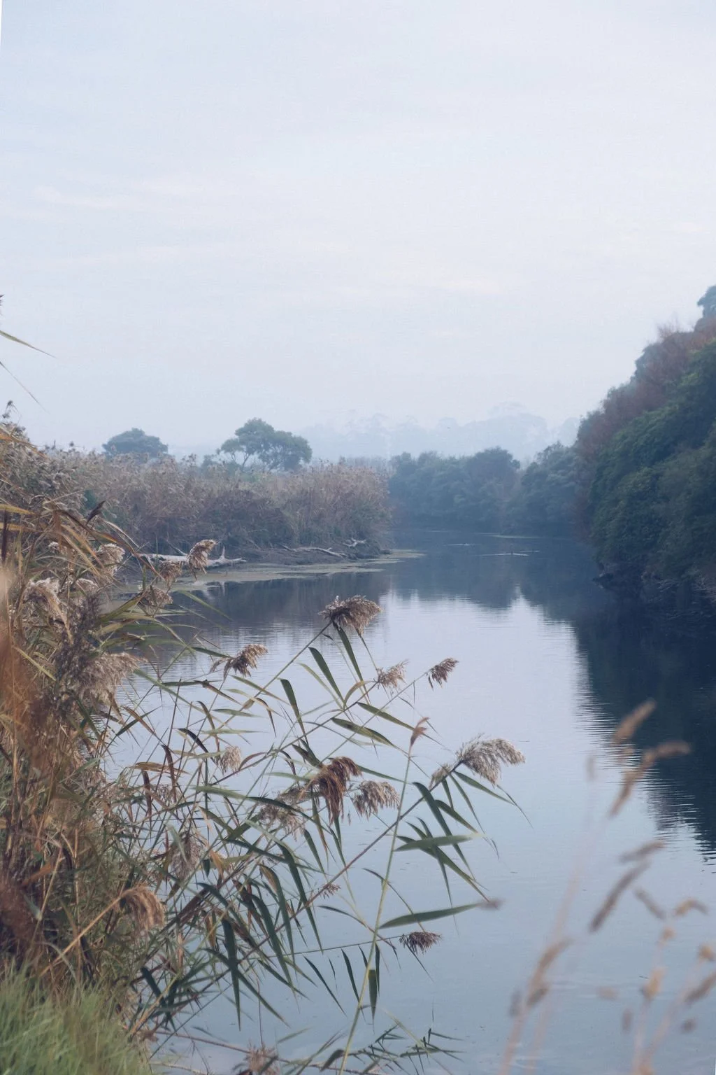 The perfect romantic couples getaway in Victoria starts with a misty morning walk along the Merri River in Warrnambool.