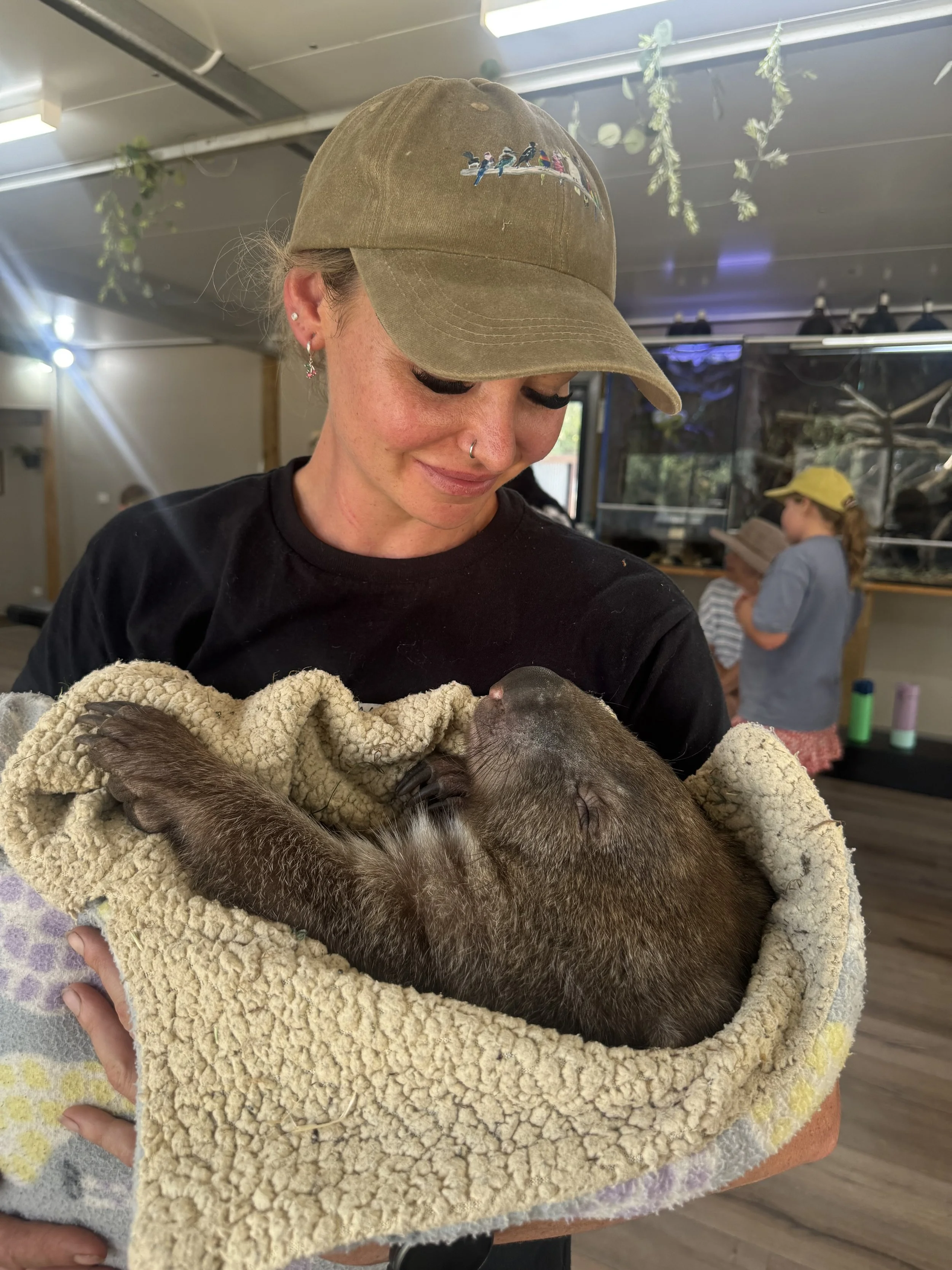 At the Warrnambool Wildlife Experience staff love their native animals including this wombat.