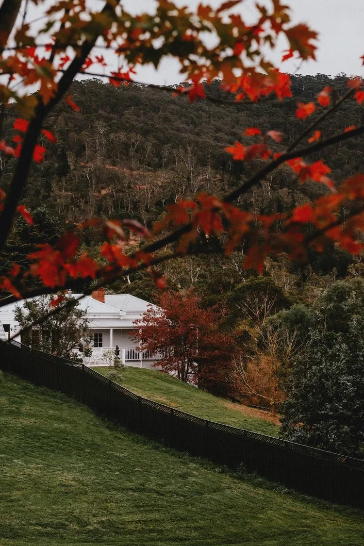 The Notebook Haus, Omeo