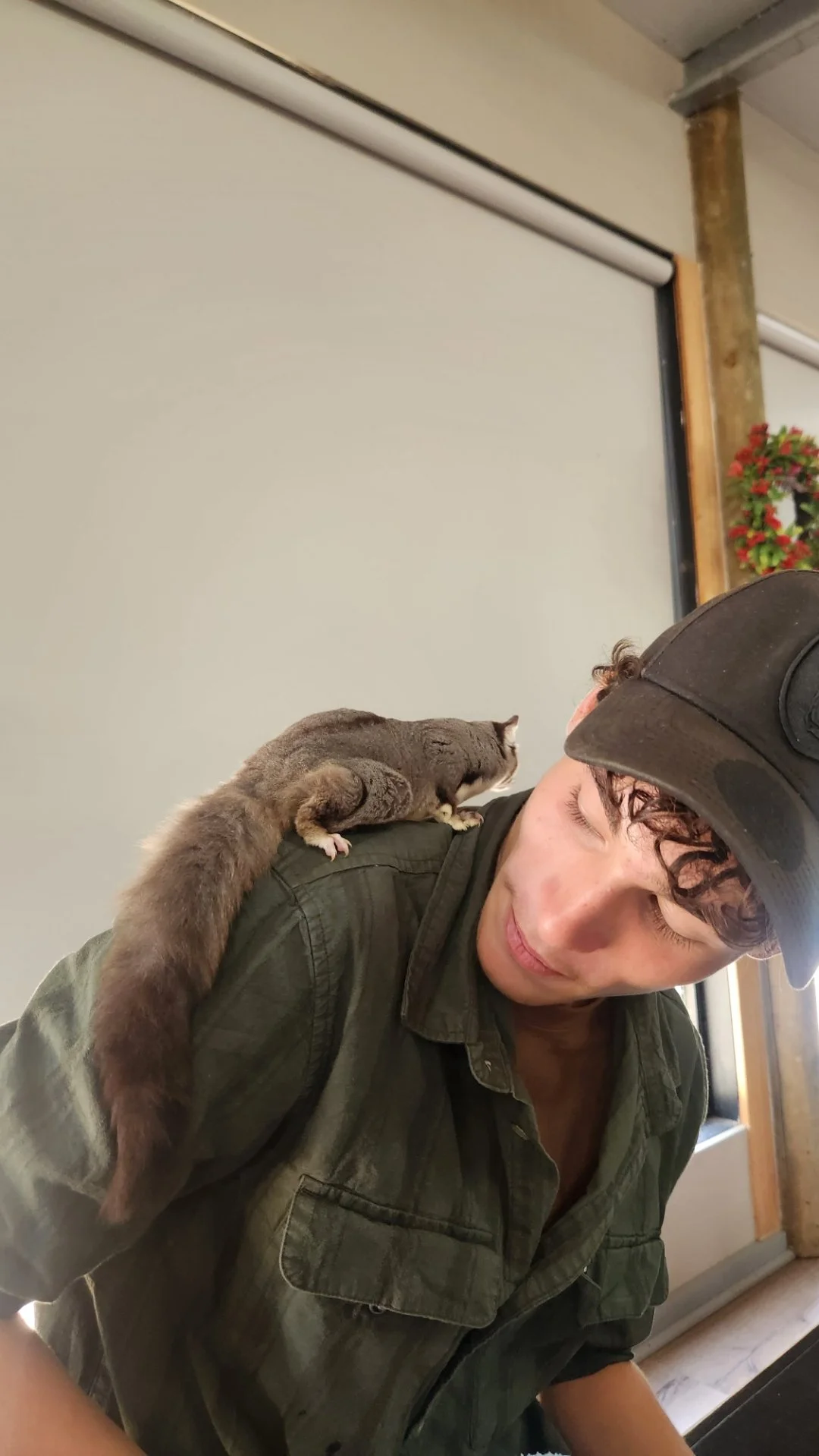 Warrnambool Wildlife Encounters - Squirrel Glider