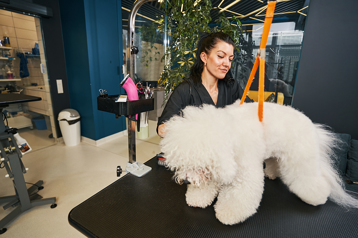 this-cute-fluffy-pet-is-my-favorite-client-2023-11-27-05-12-59-utc.png