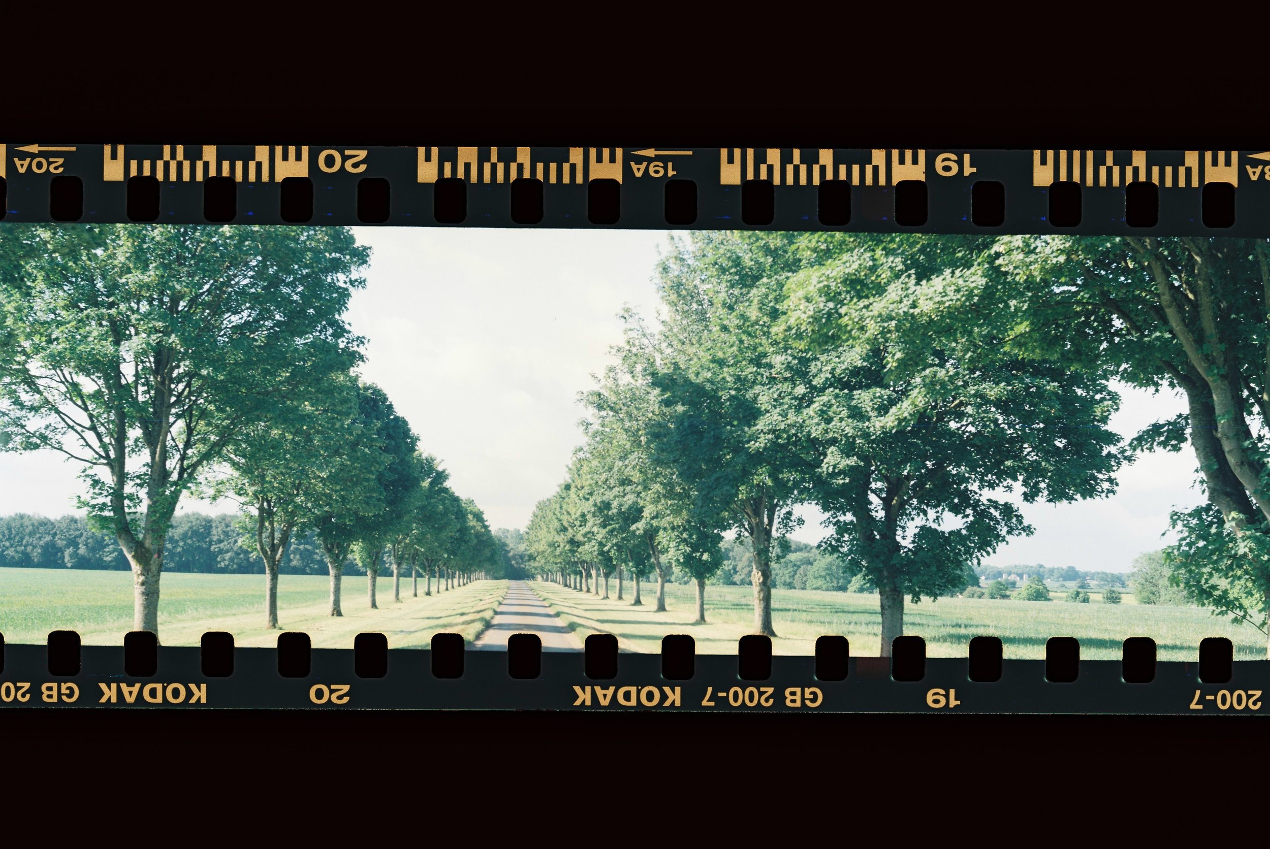 35mm panoramas on a budget…
