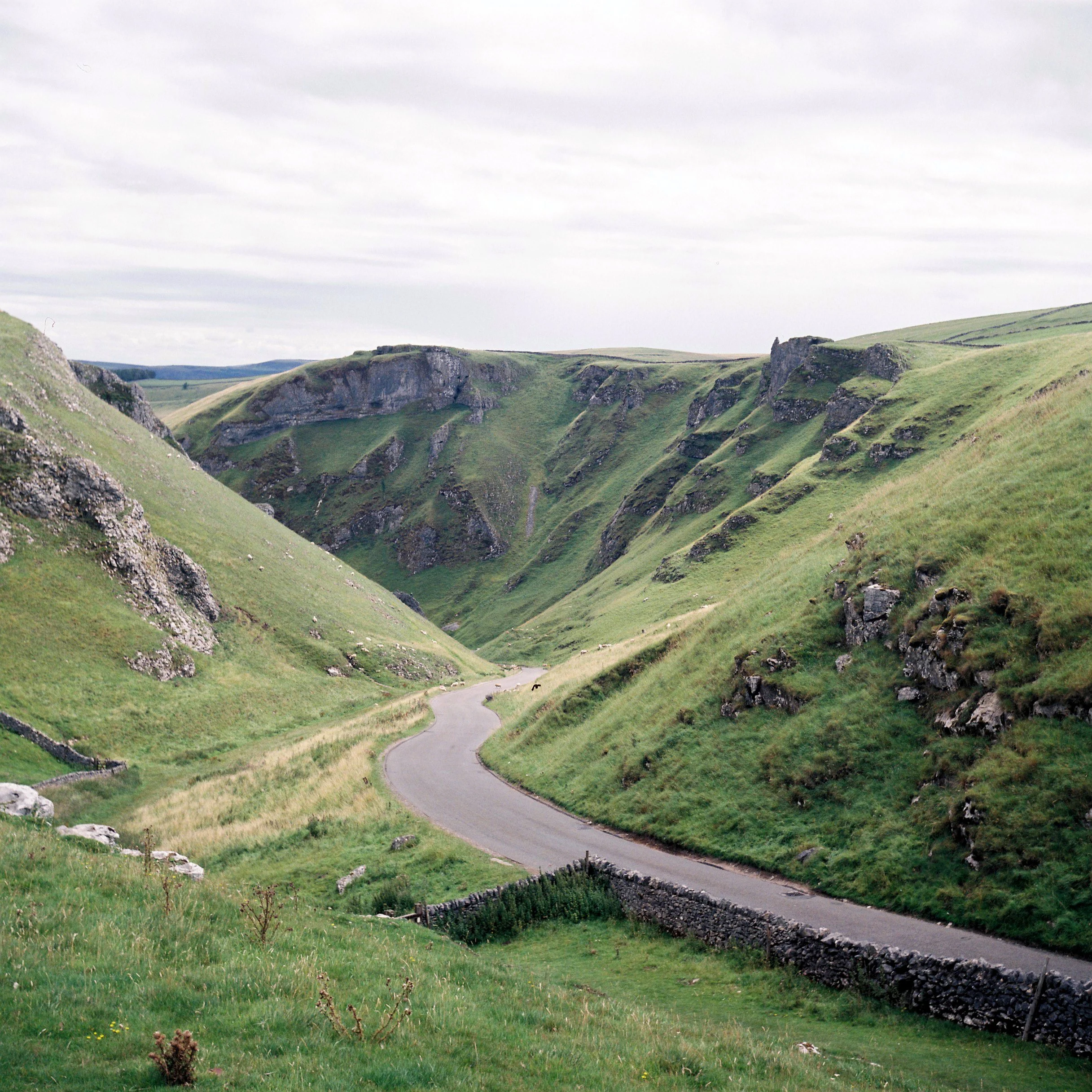 Kodak 66 - Fujicolor NPH400