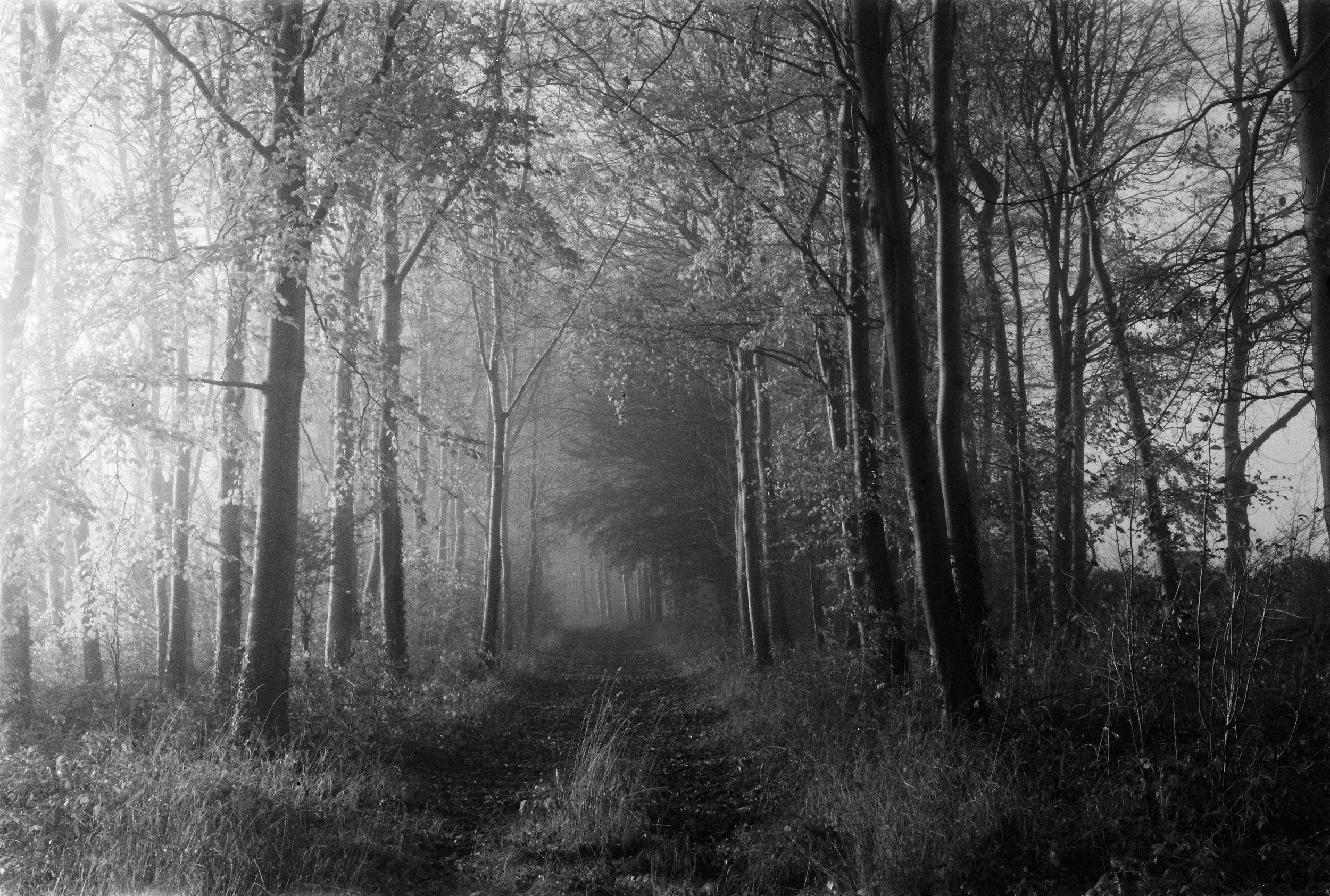 Kodak Retina IIa - Rollei Retro 400S