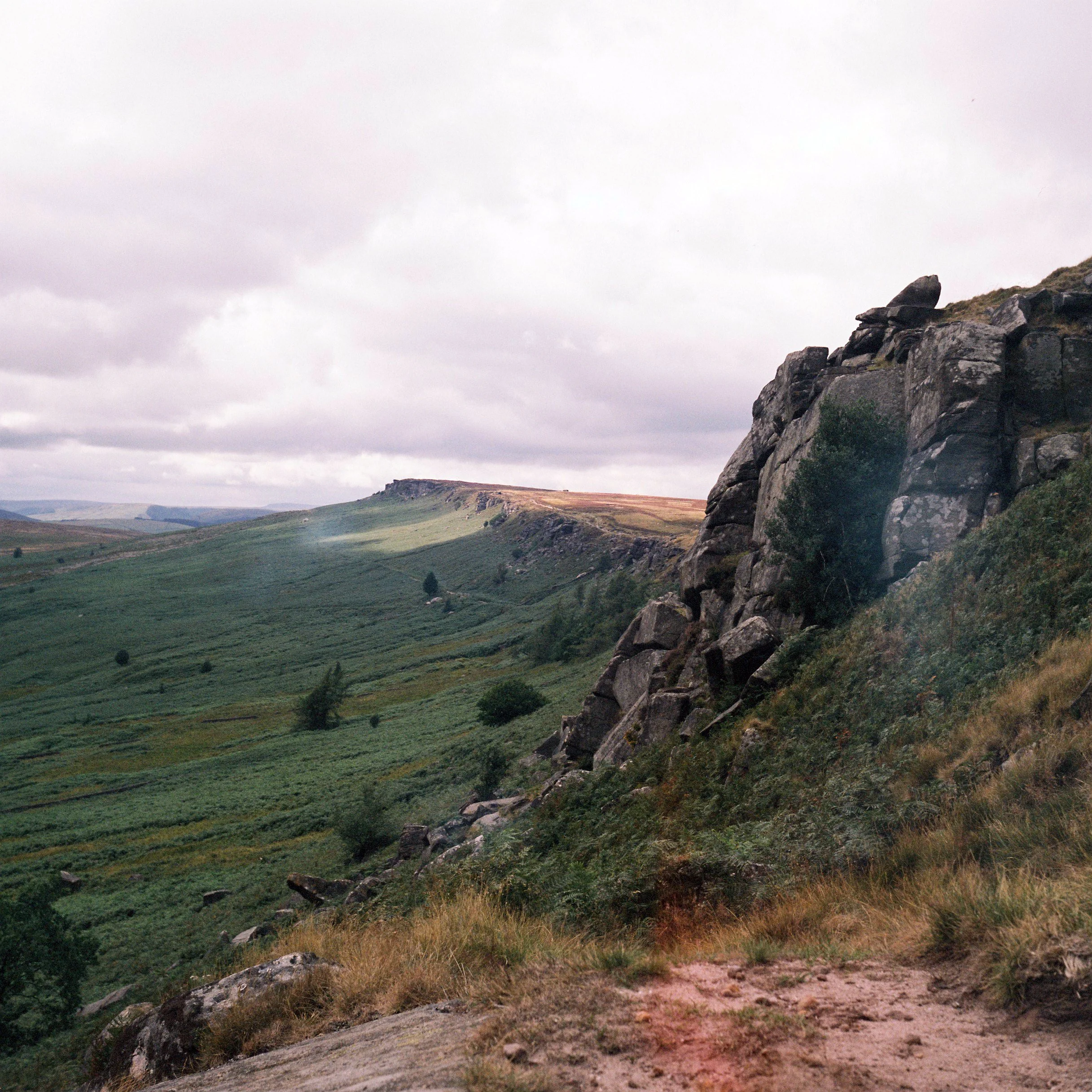 Kodak 66 - Fujicolor NPH400