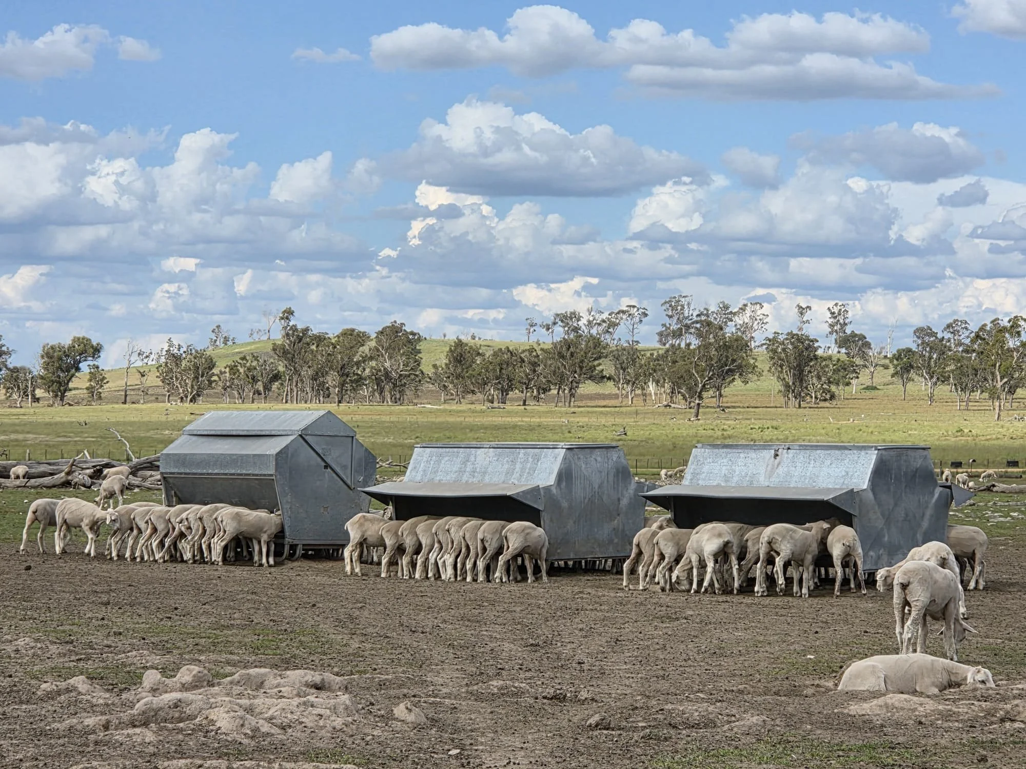 Testimonials | Enhance Livestock Performance Today — Summit Milling
