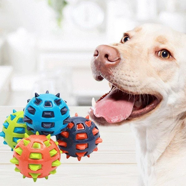 A happy dog with its tongue out next to colorful spiked rubber toys.
