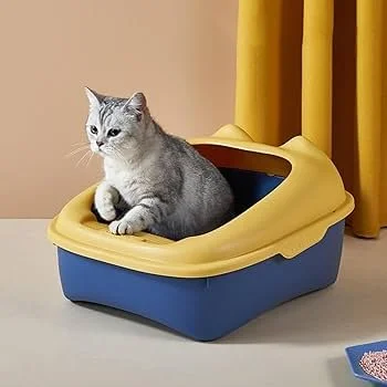 A gray cat sitting inside a yellow and blue plastic litter box, with a beige wall and yellow curtain in the background.