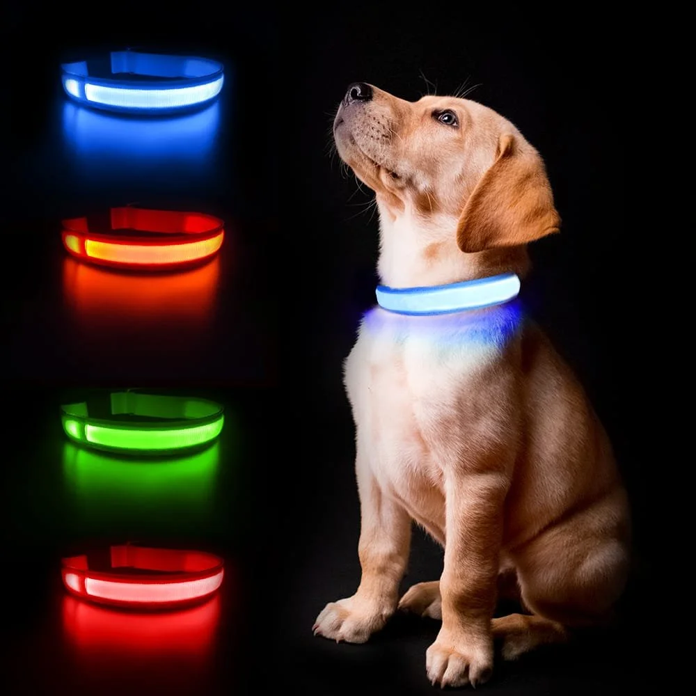 A puppy wearing a glowing blue collar, with three other glowing collars (blue, red, green) off to the side on a black background.